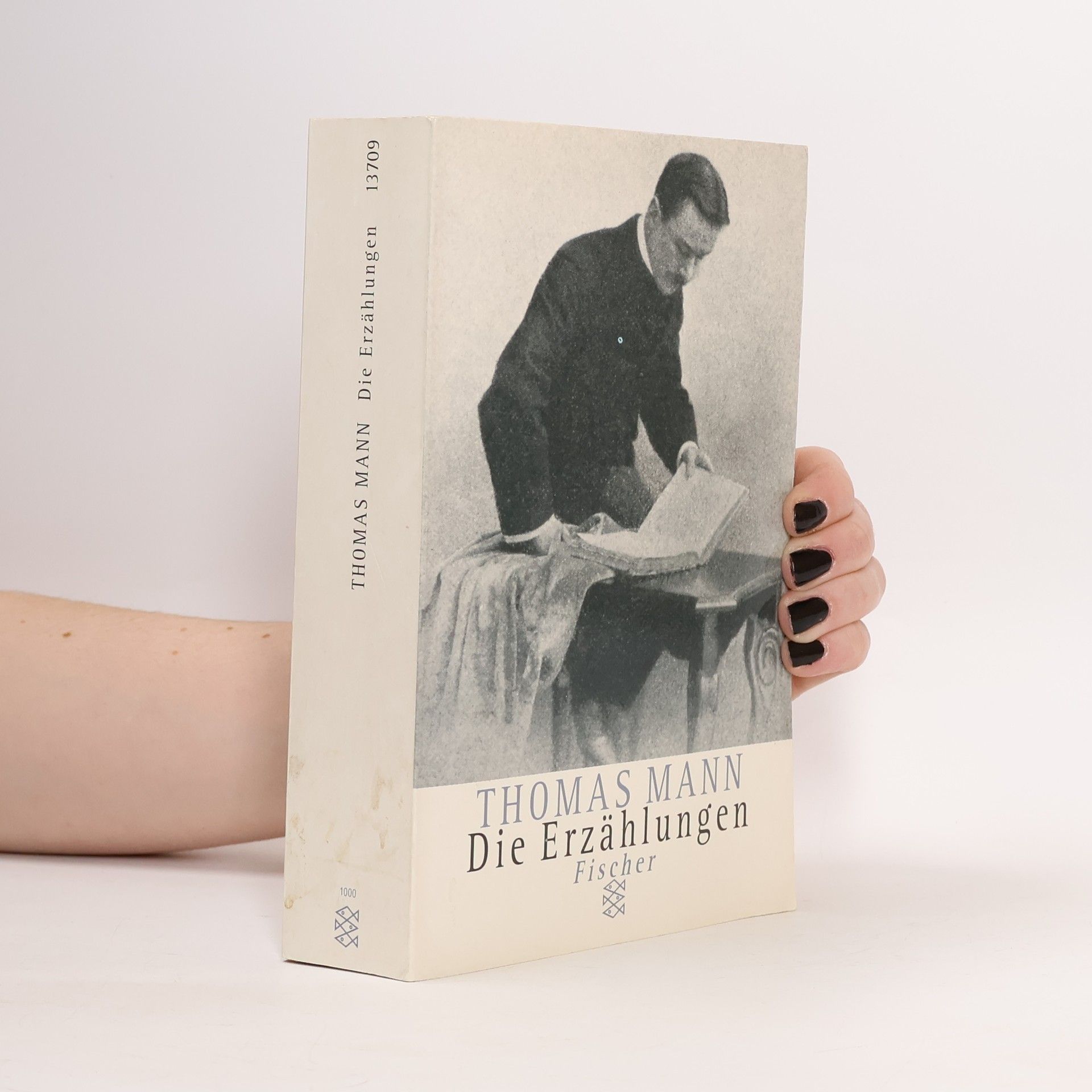 Thomas Mann Die Erzählungen