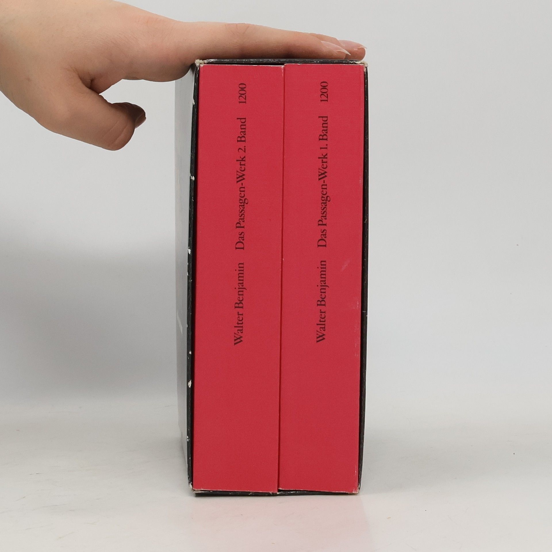 Walter Benjamin Das Passagen-Werk 1-2