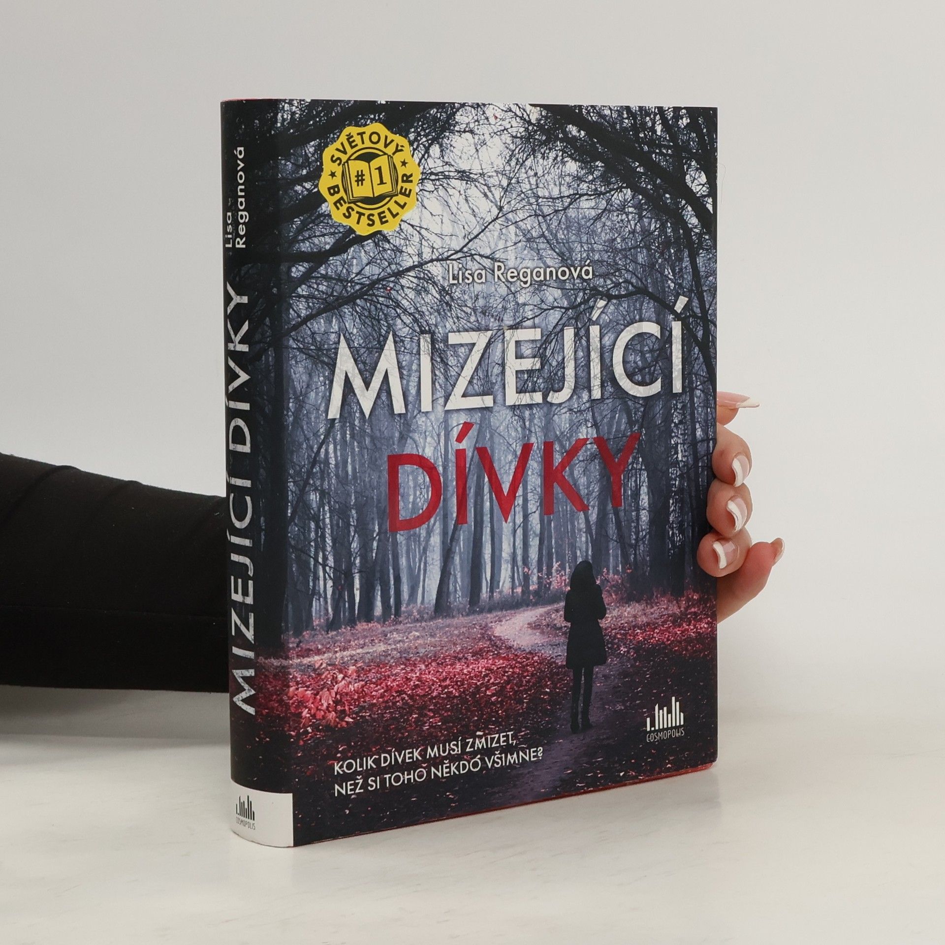 Lisa Regan Mizející dívky