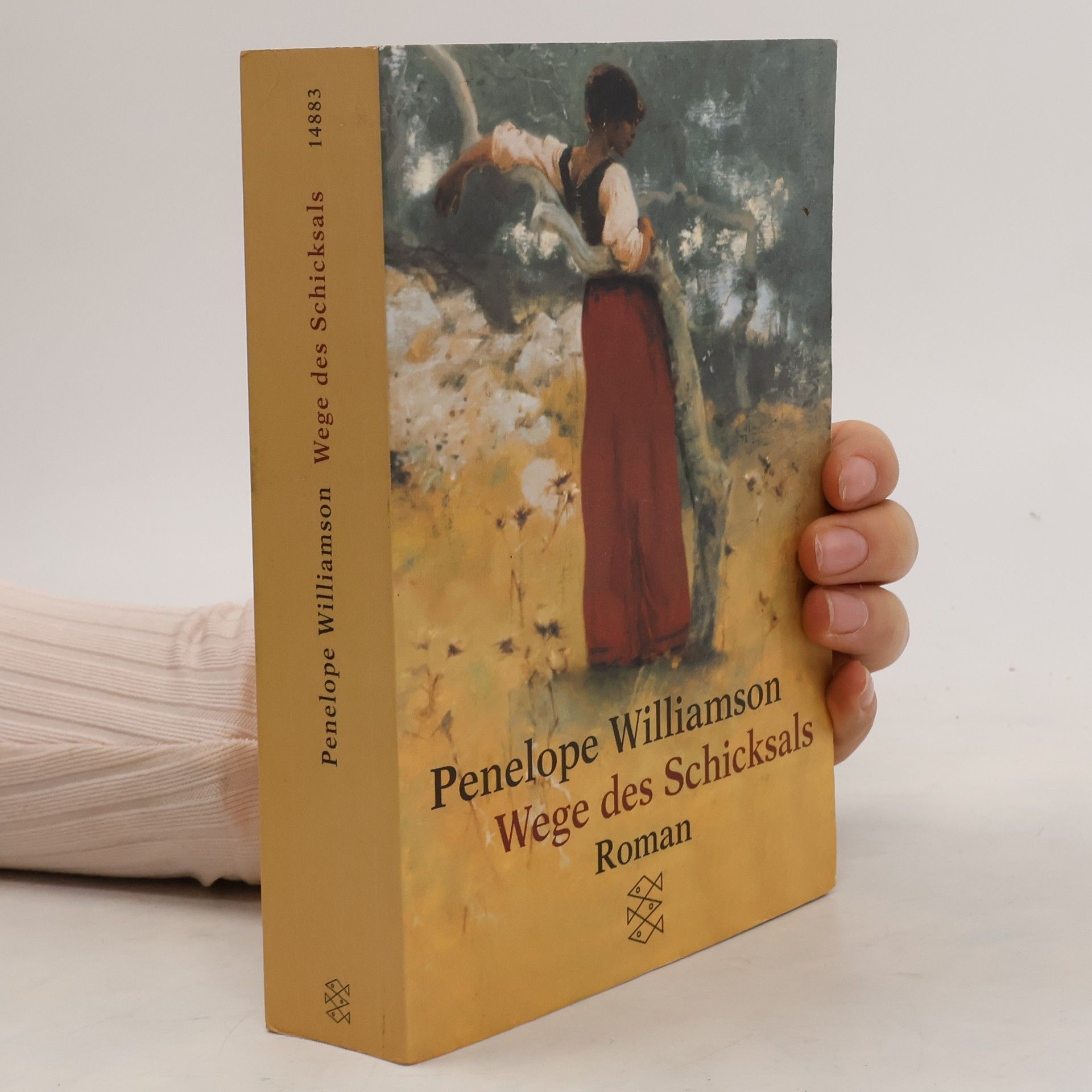 Penelope Williamson Wege des Schicksals