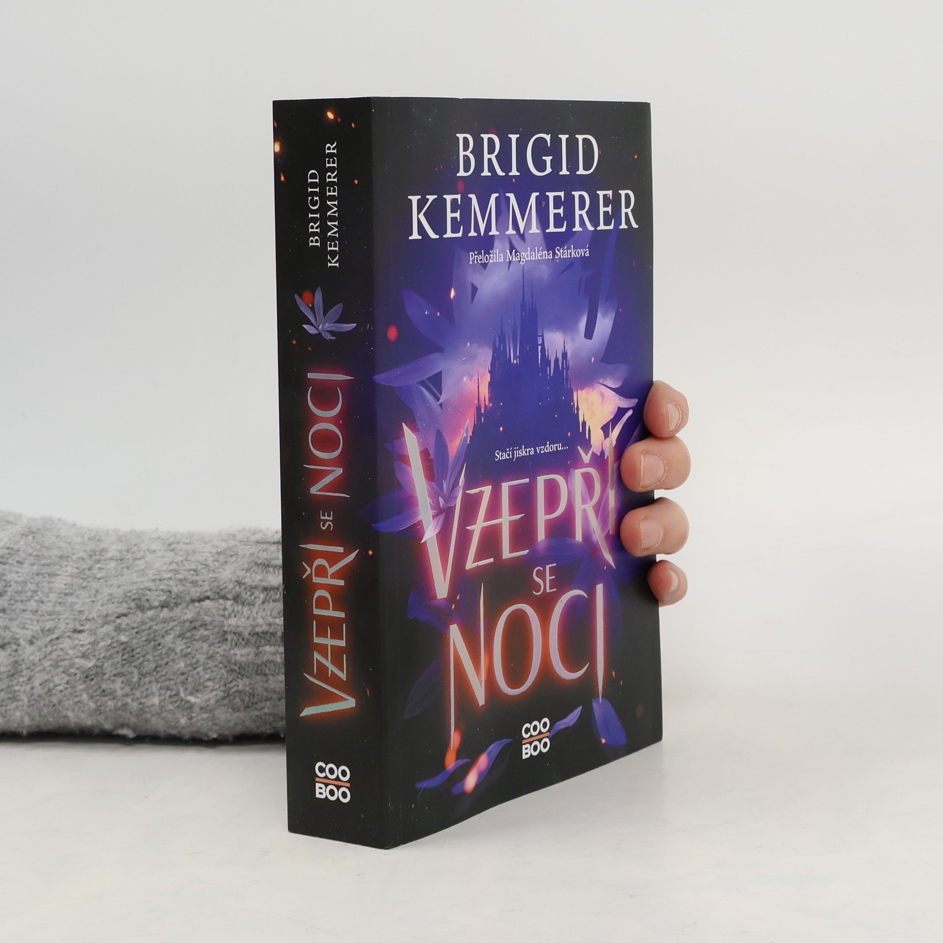 Brigid Kemmerer Vzepři se noci