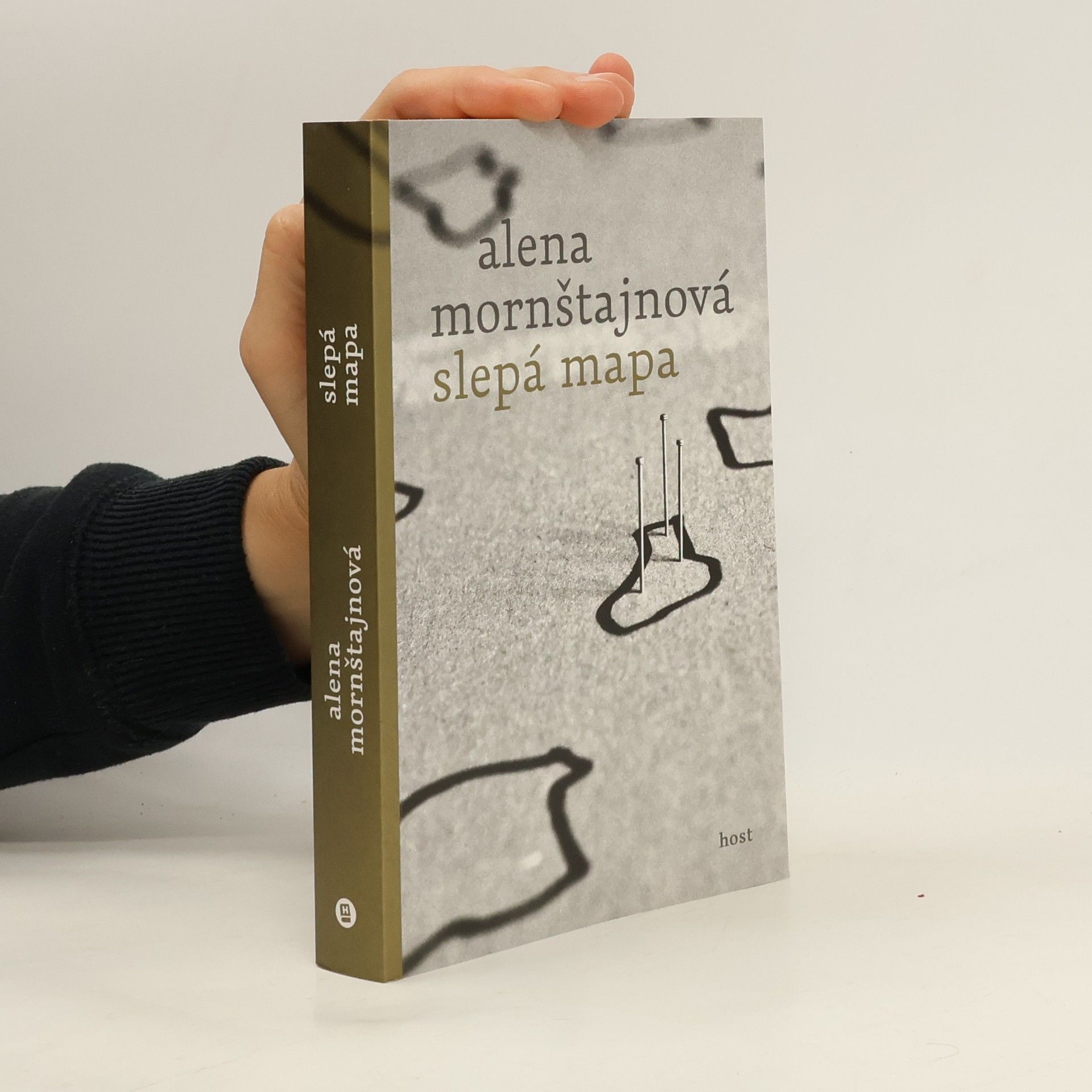 Alena Mornštajnová Slepá mapa