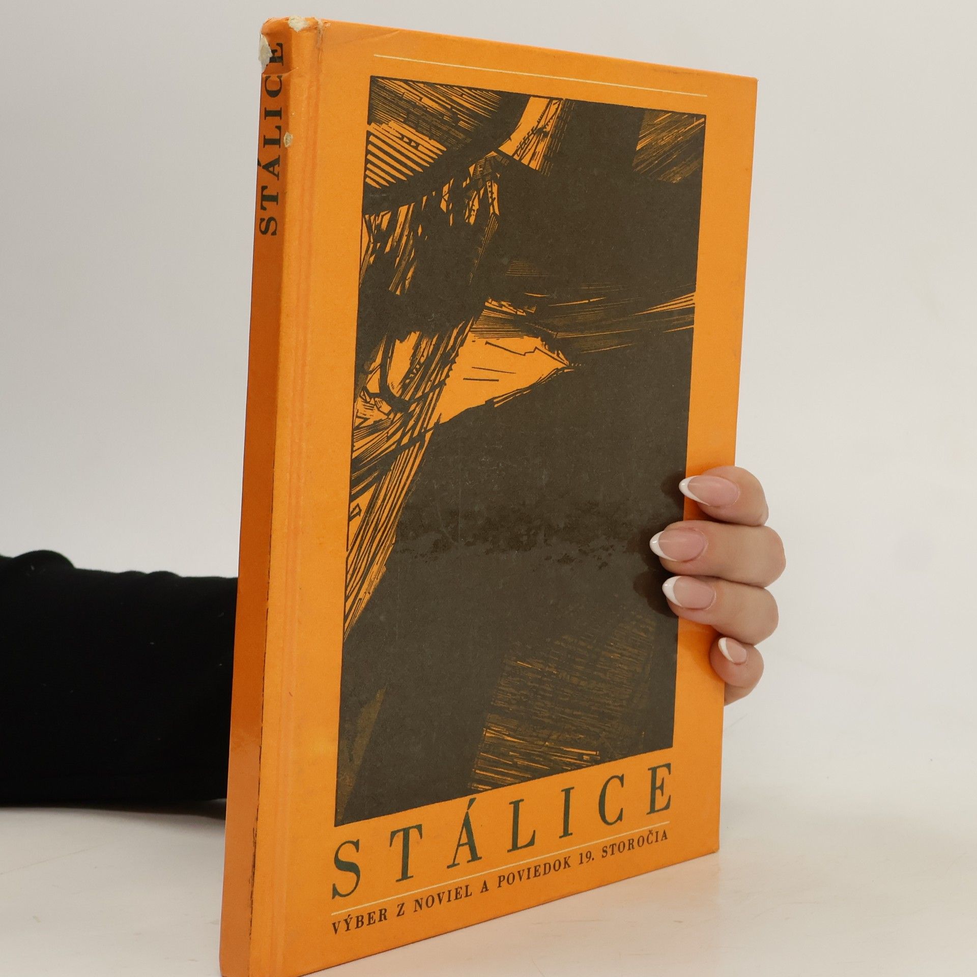 Dušan Slobodník Stálice : Výber z noviel a poviedok 19. storočia