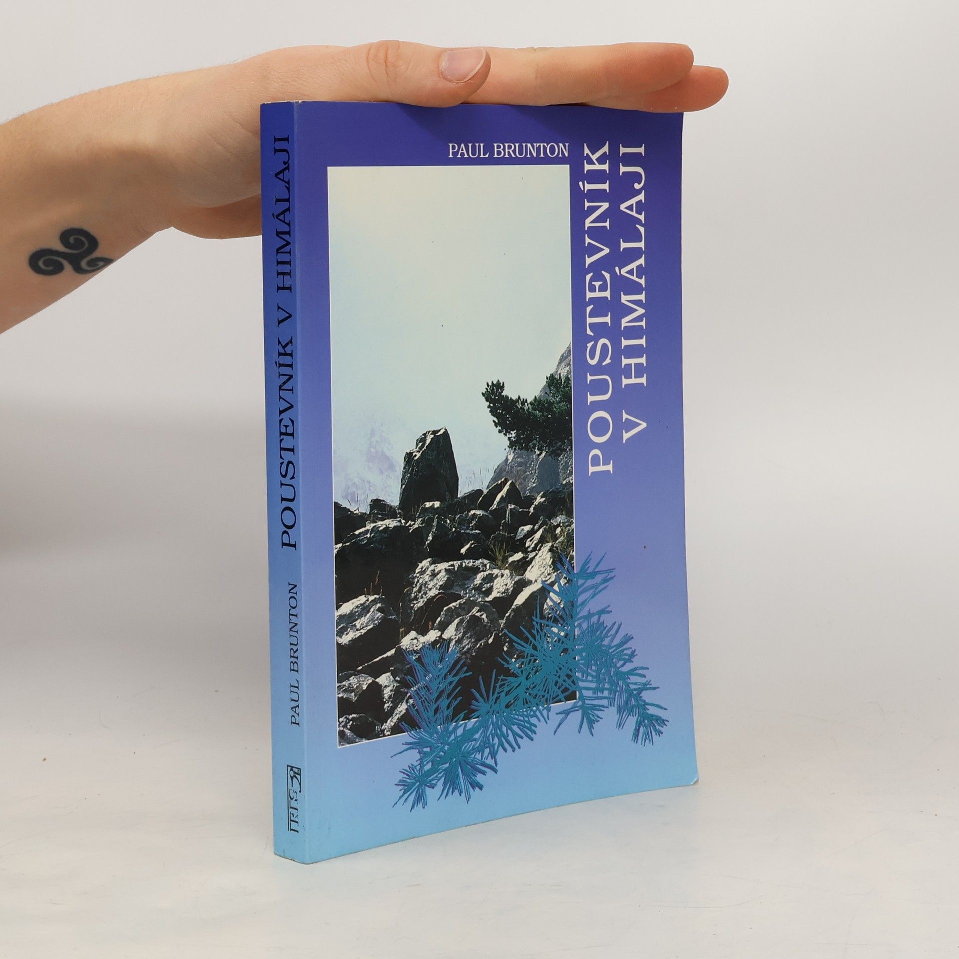 Paul Brunton Poustevník v Himálaji