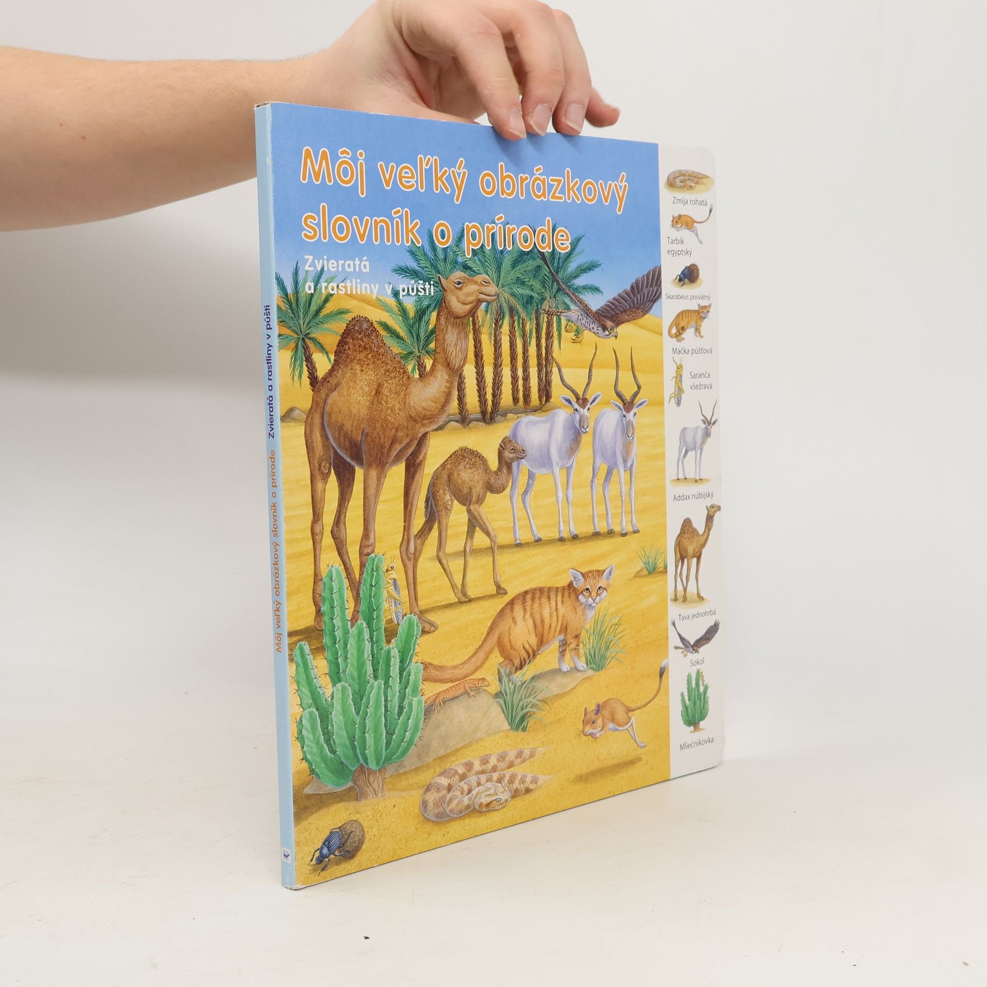 Autorenkollektiv Môj veľký obrázkový slovník o prírode. Zvieratá a rastliny v púšti