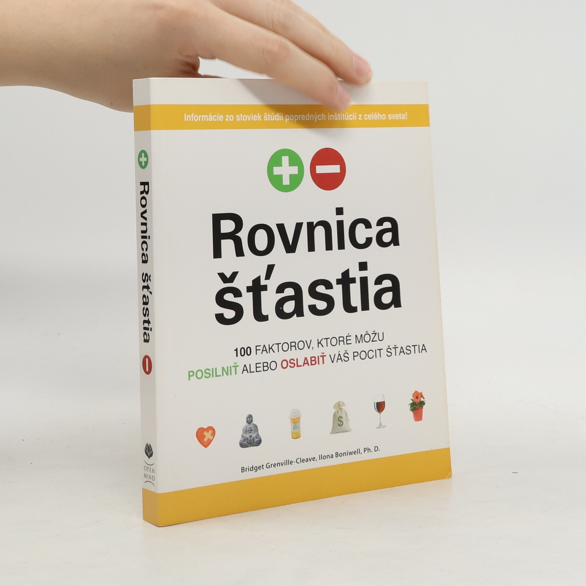 Bridget Grenville-Cleave Rovnica šťastia