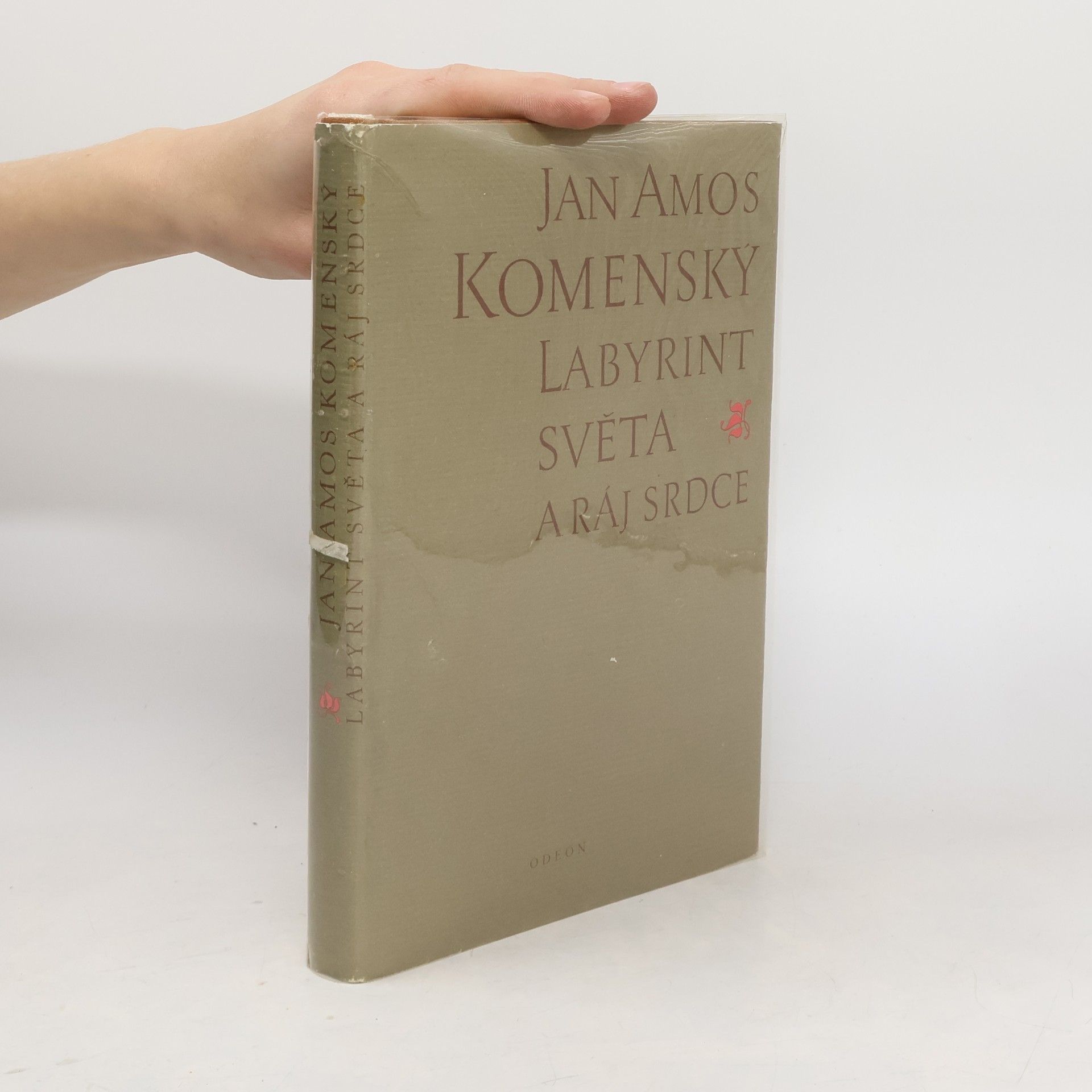 John Amos Comenius Labyrint světa a ráj srdce