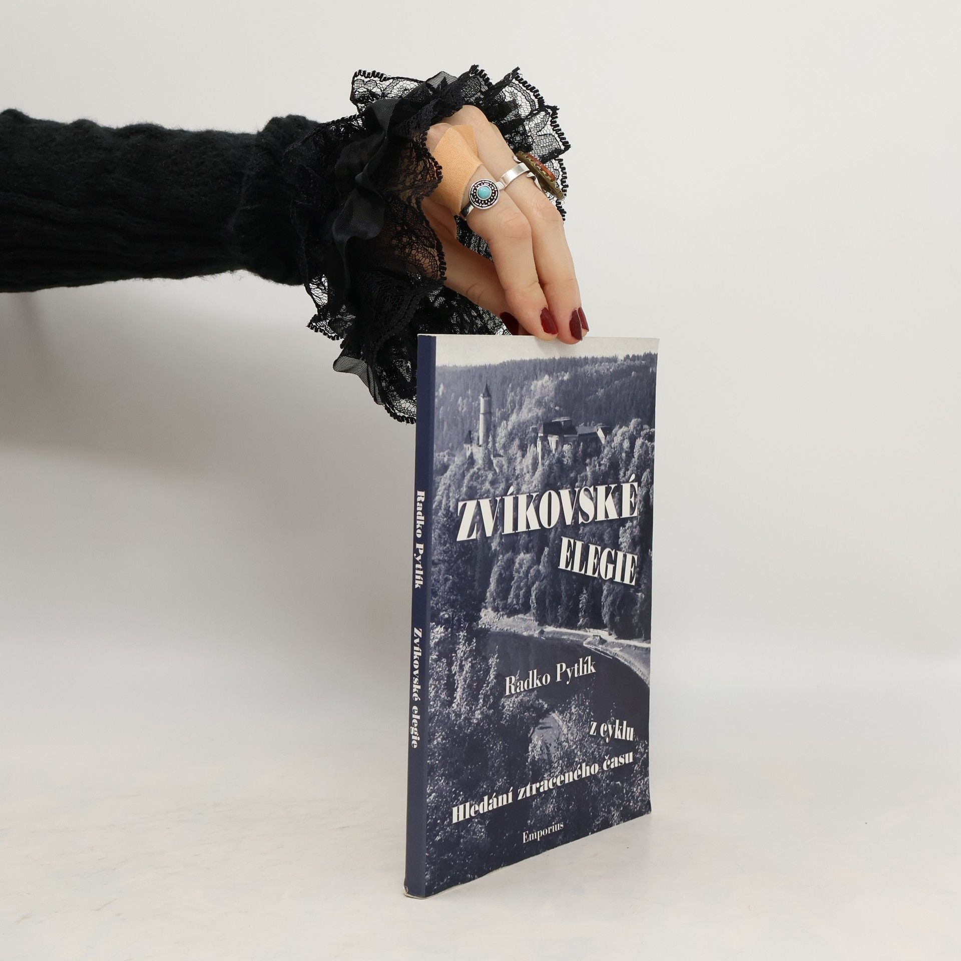 Radko Pytlík Zvíkovské elegie