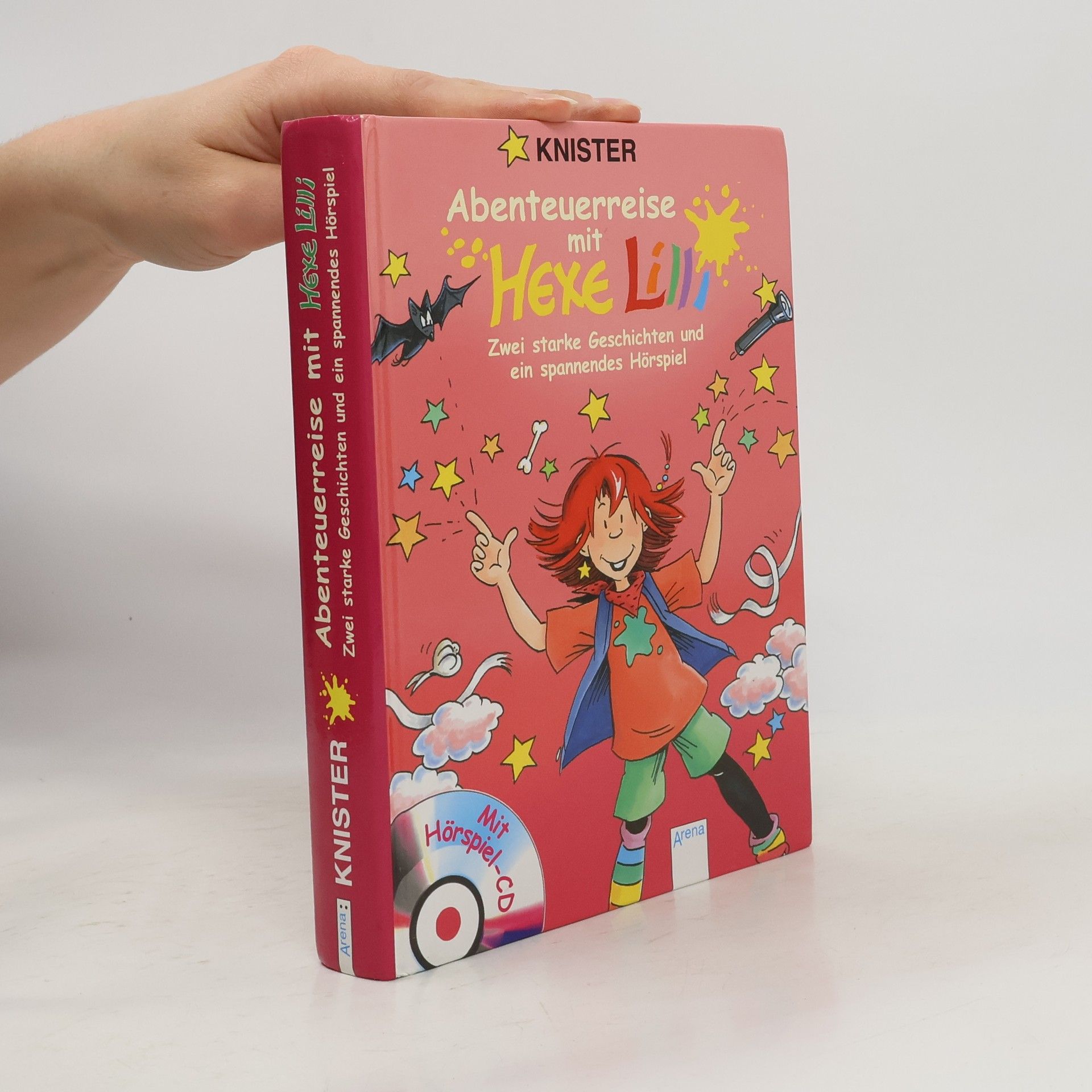 Brigit Rieger Abenteuerreise mit Hexe Lilli