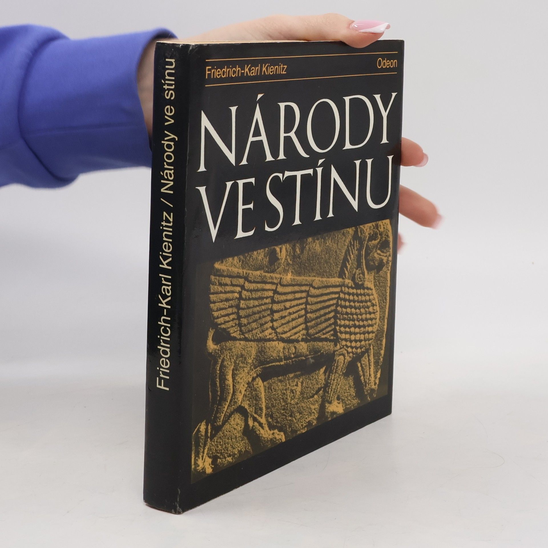 Friedrich Karl Kienitz Národy ve stínu