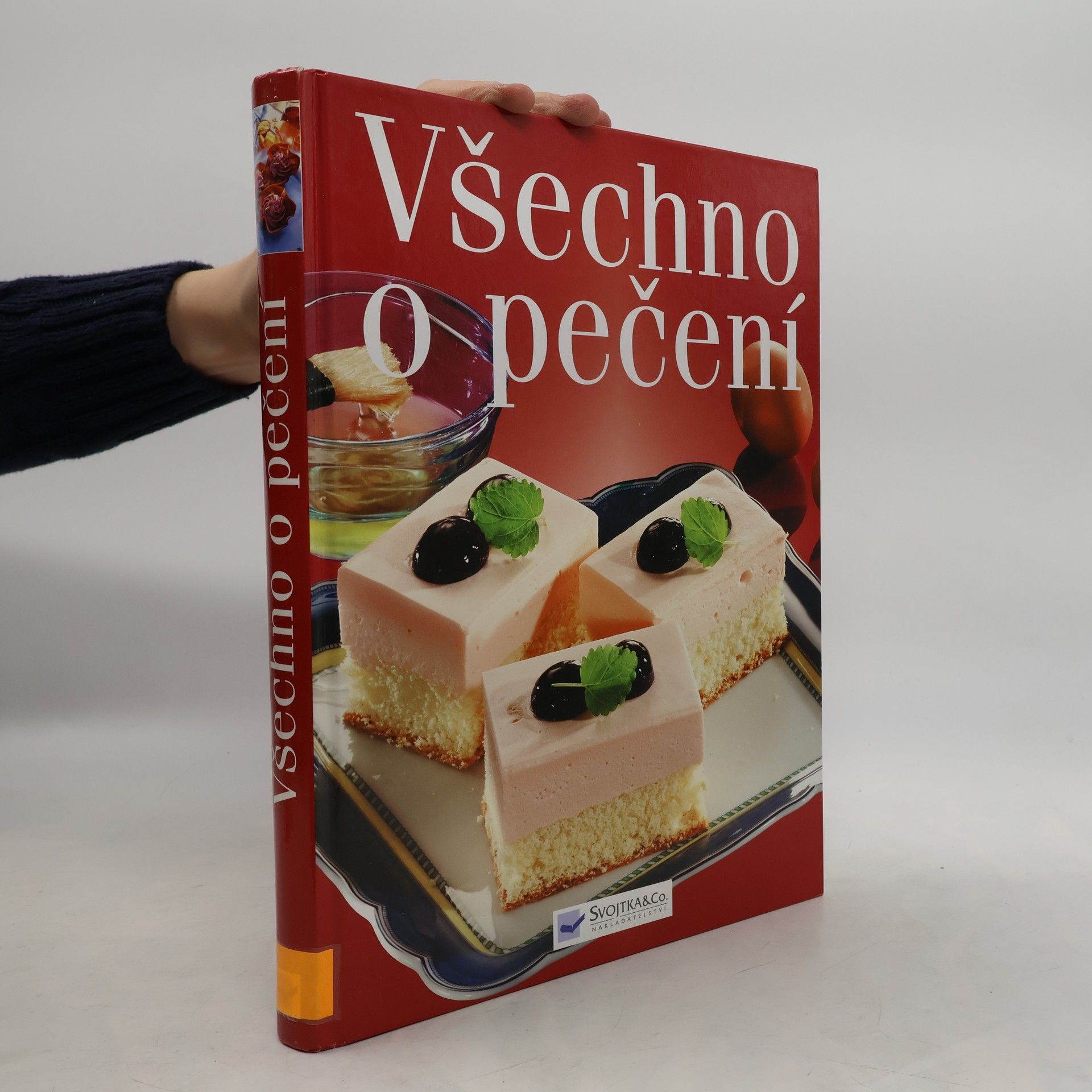 Autorenkollektiv Všechno o pečení