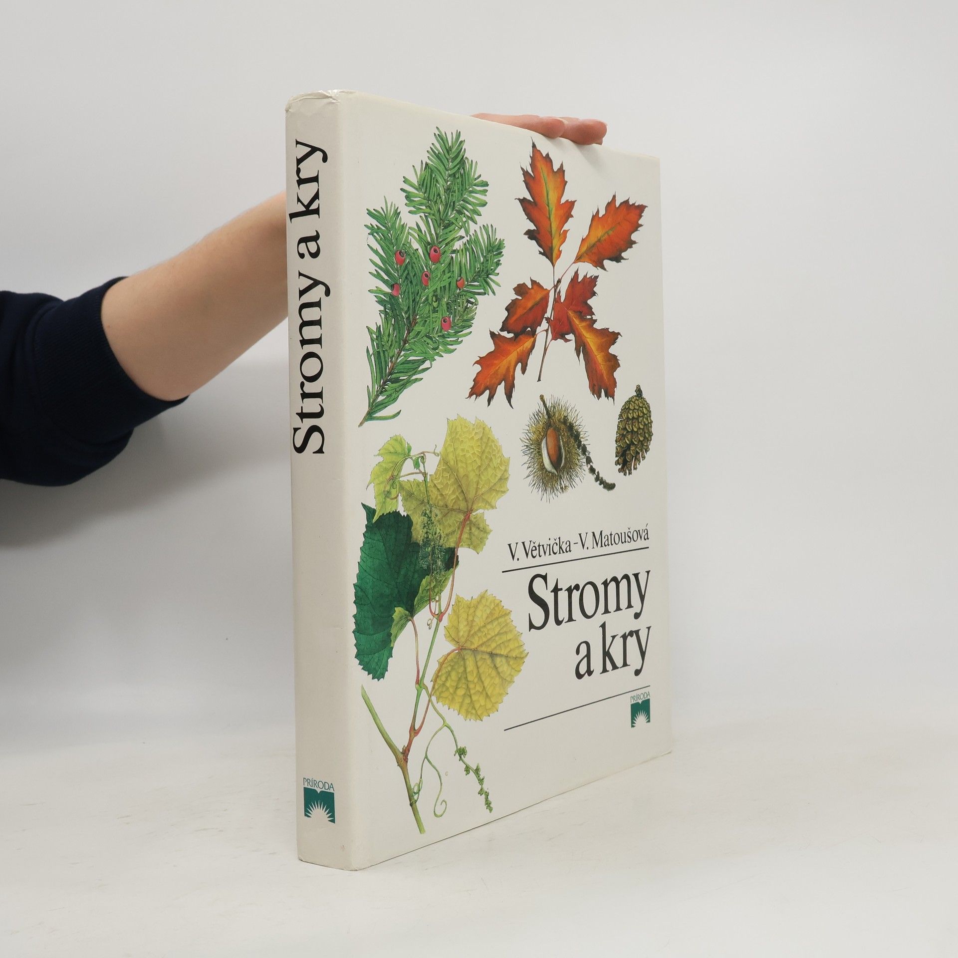 Vlasta Matoušová Stromy a kry