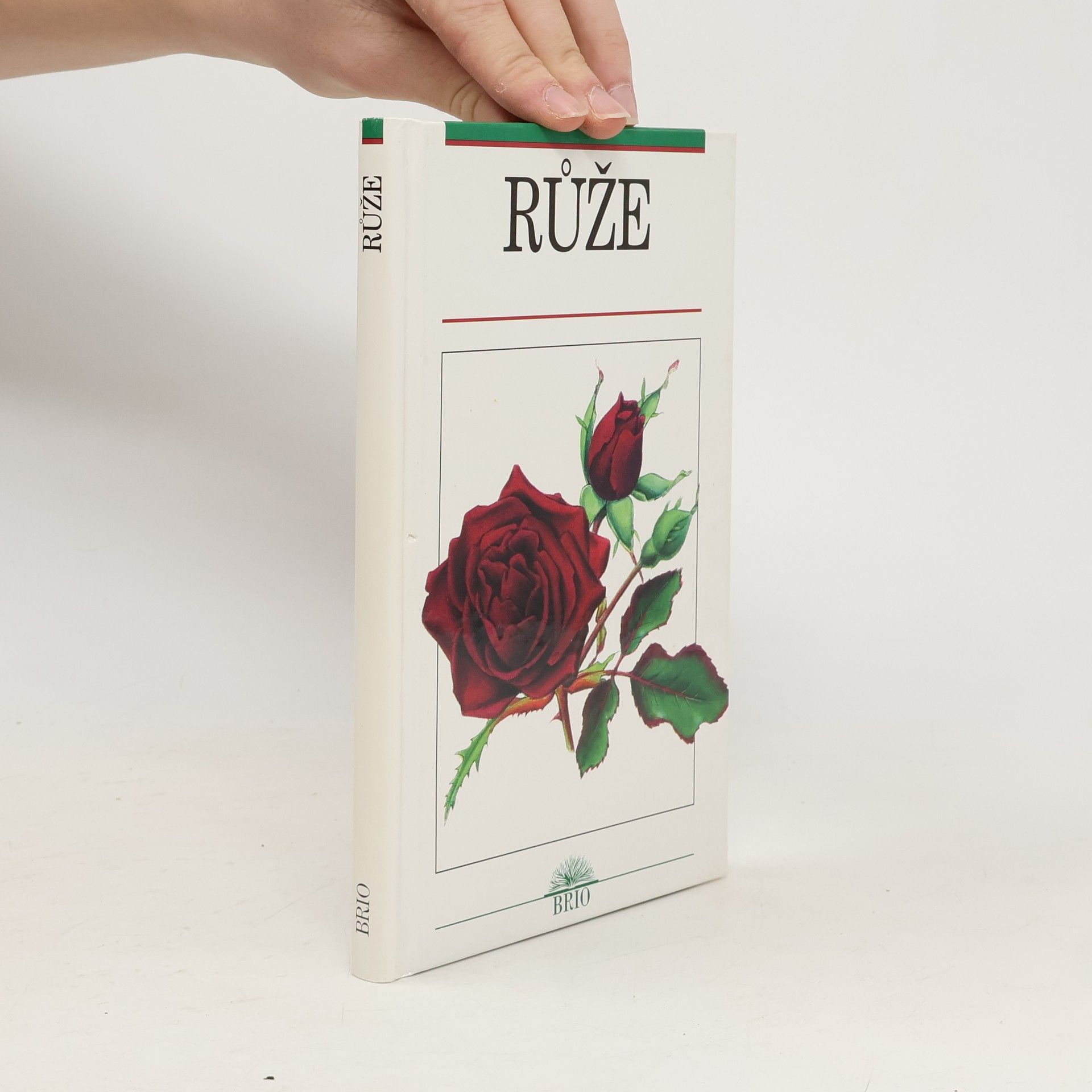 Václav Větvička Růže