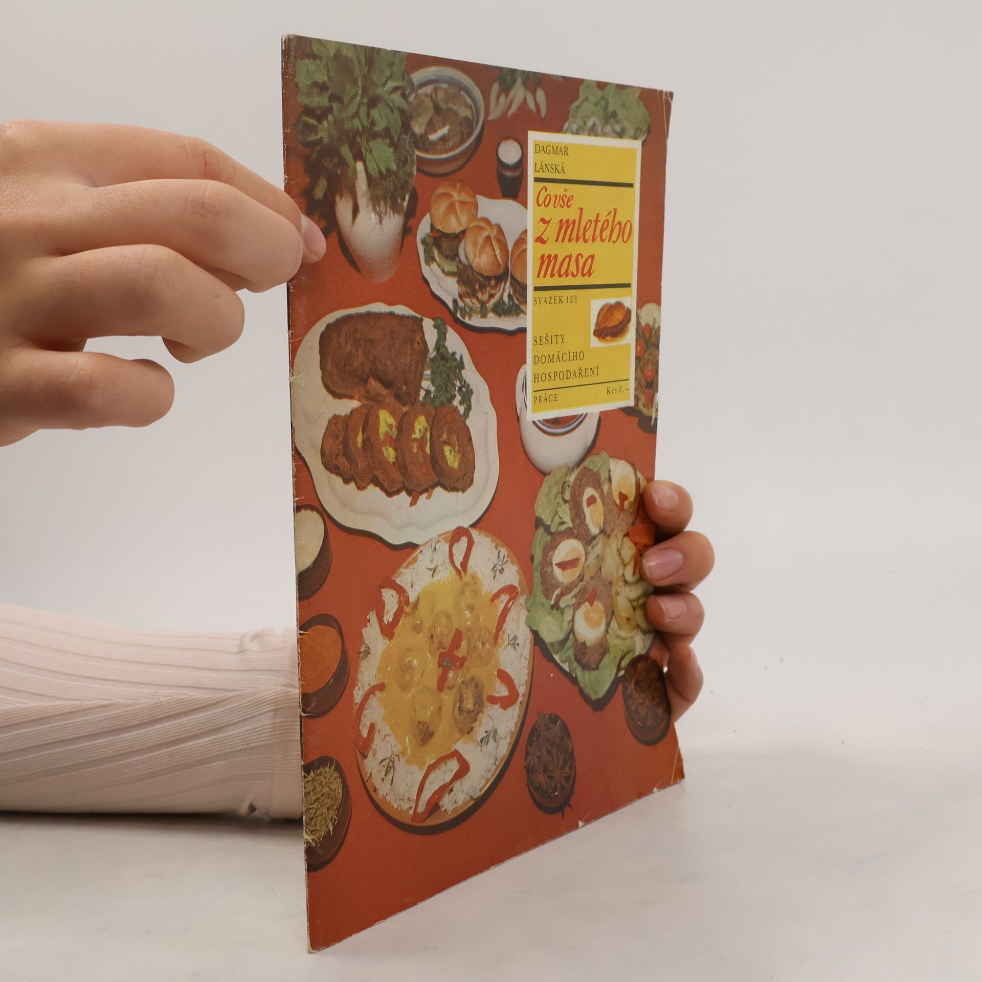 Dagmar Lánská Co vše z mletého masa