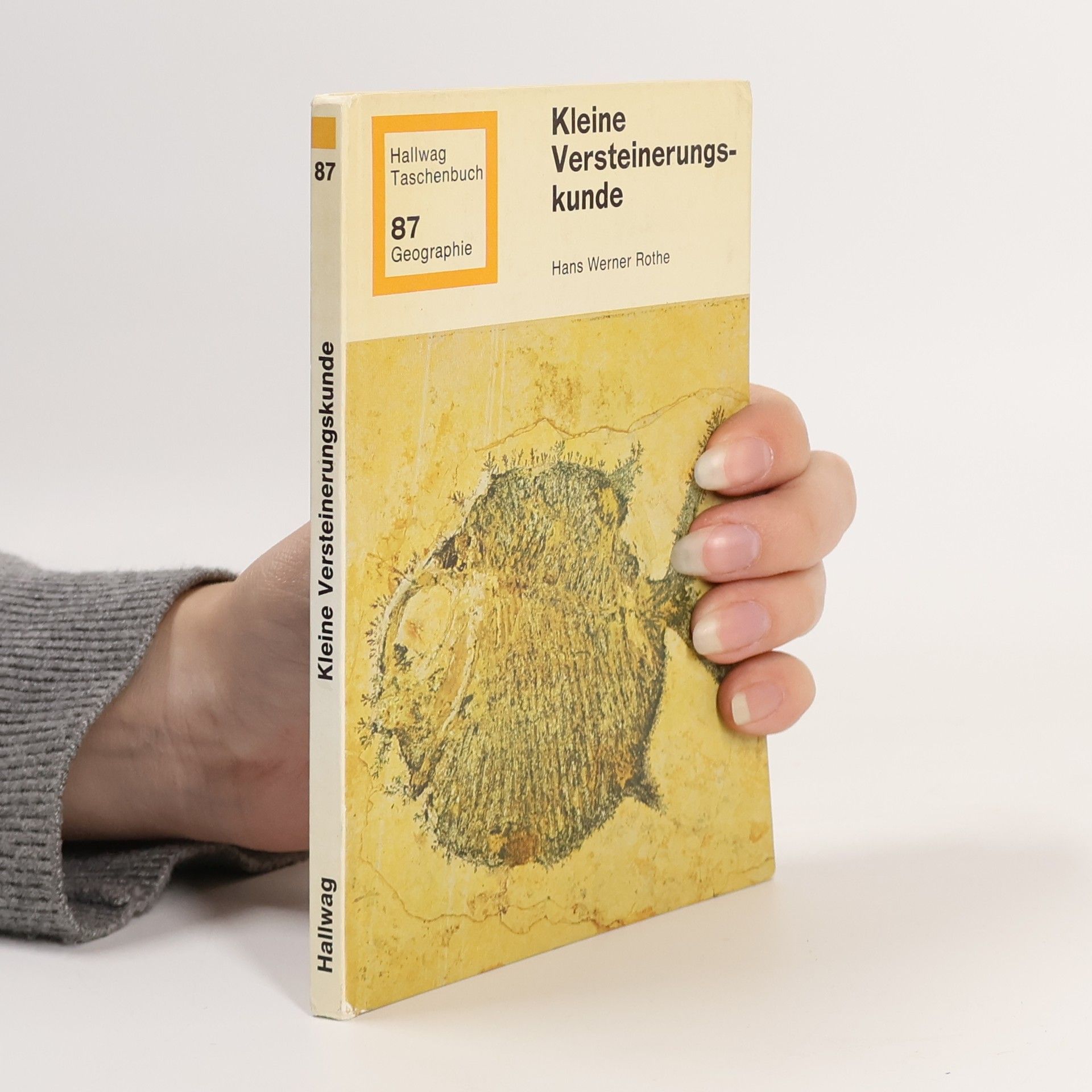 Hans Werner Rothe Kleine Versteinerungskunde