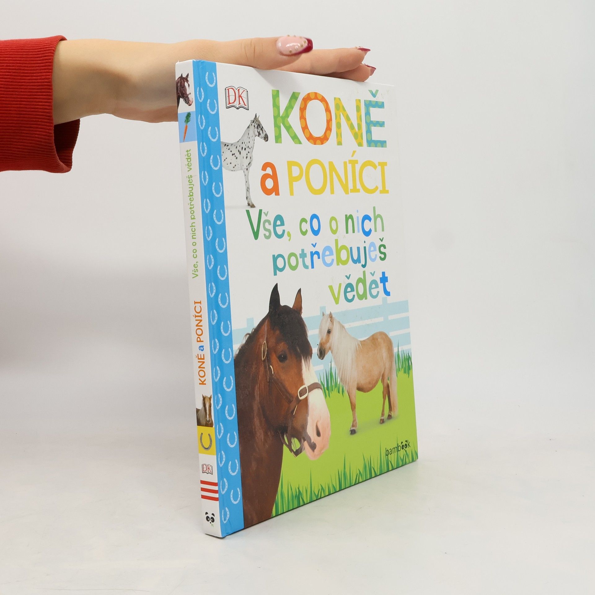Koně a poníci – Vše, co o nich potřebuješ vědět