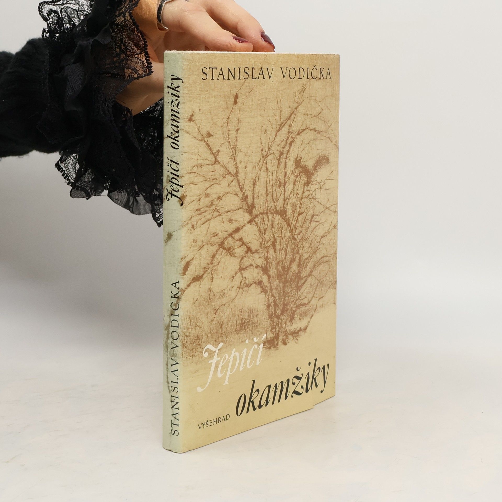 Stanislav Vodička Jepičí okamžiky