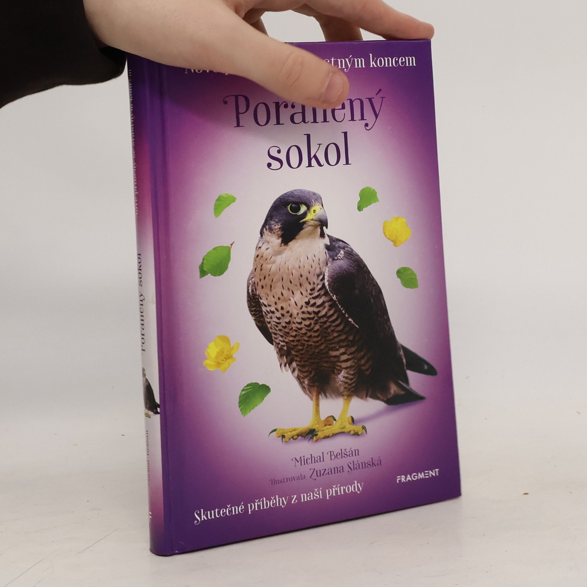 Michal Belšán Poraněný sokol