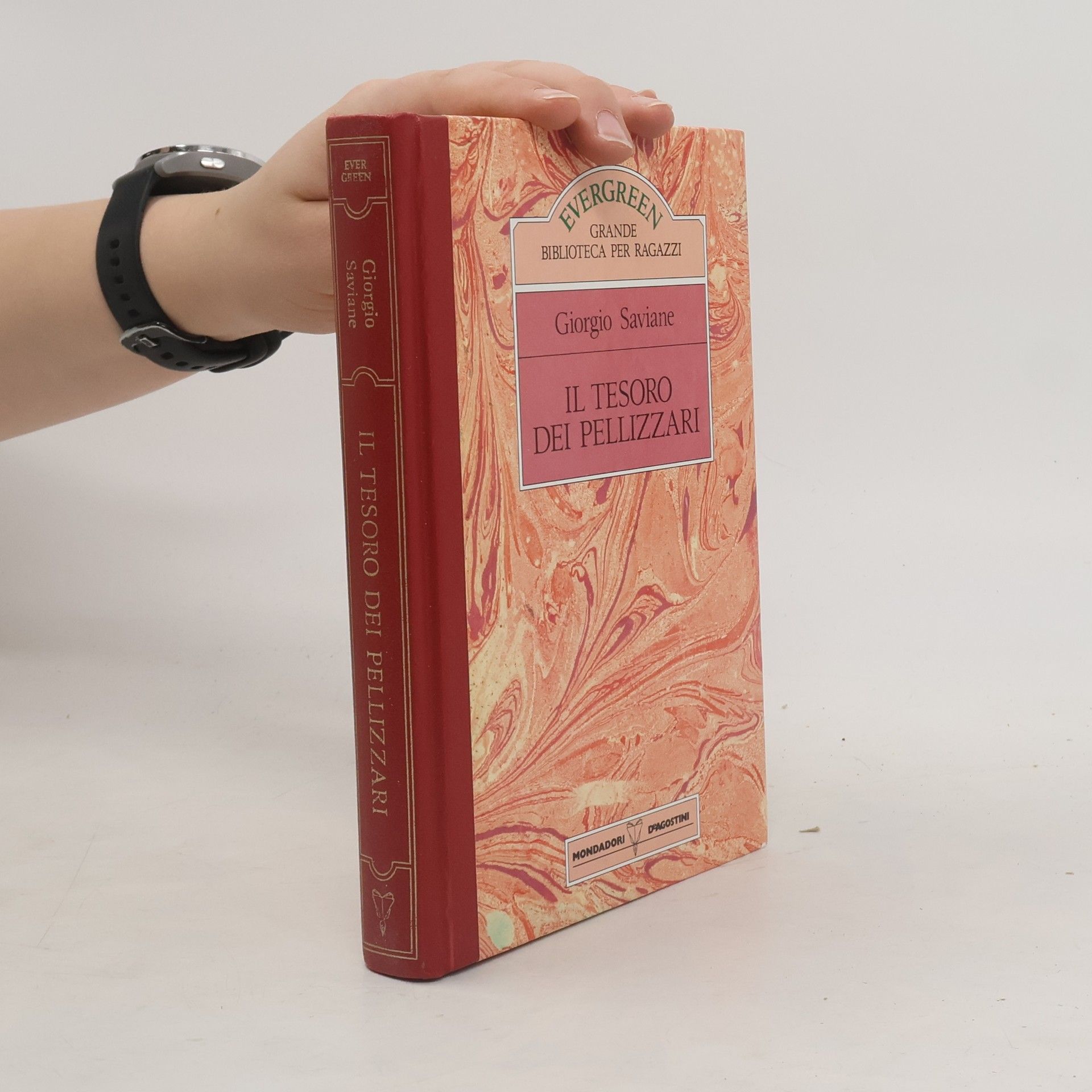Giorgio Saviane Il tesoro dei Pellizzari