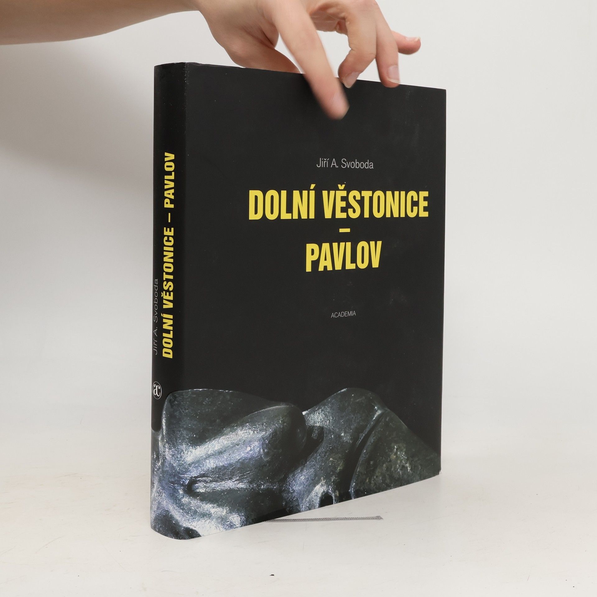 Jiří A. Svoboda Dolní Věstonice - Pavlov