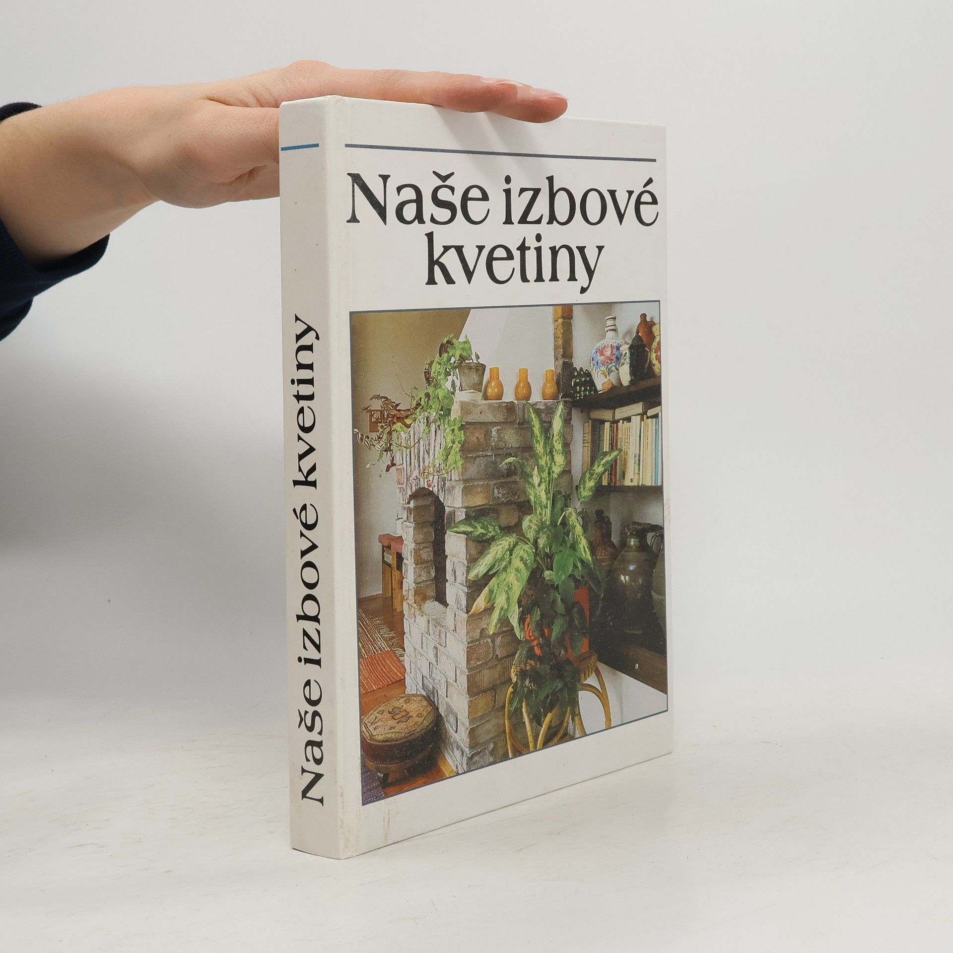 Lajos Lelkes Naše izbové kvetiny