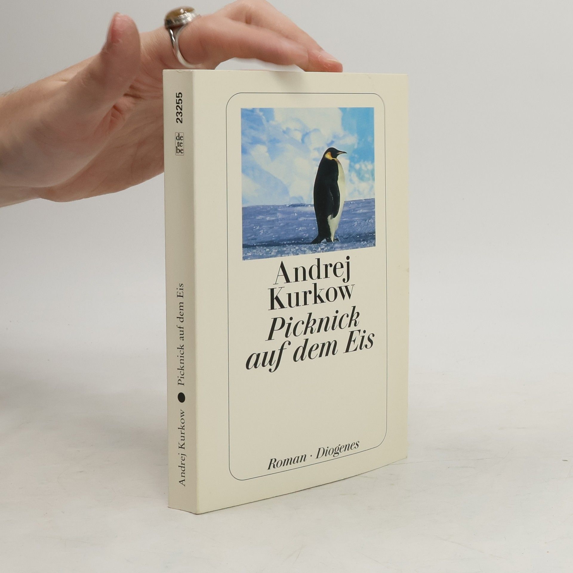 Christa Vogel Picknick auf dem Eis