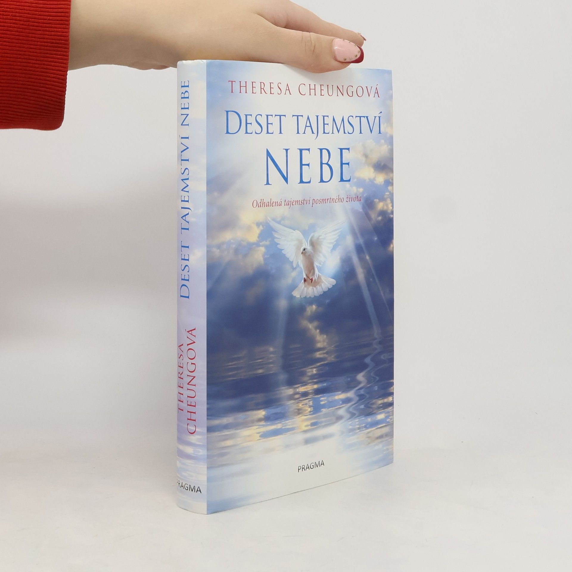 Theresa Francis-Cheung Deset tajemství nebe