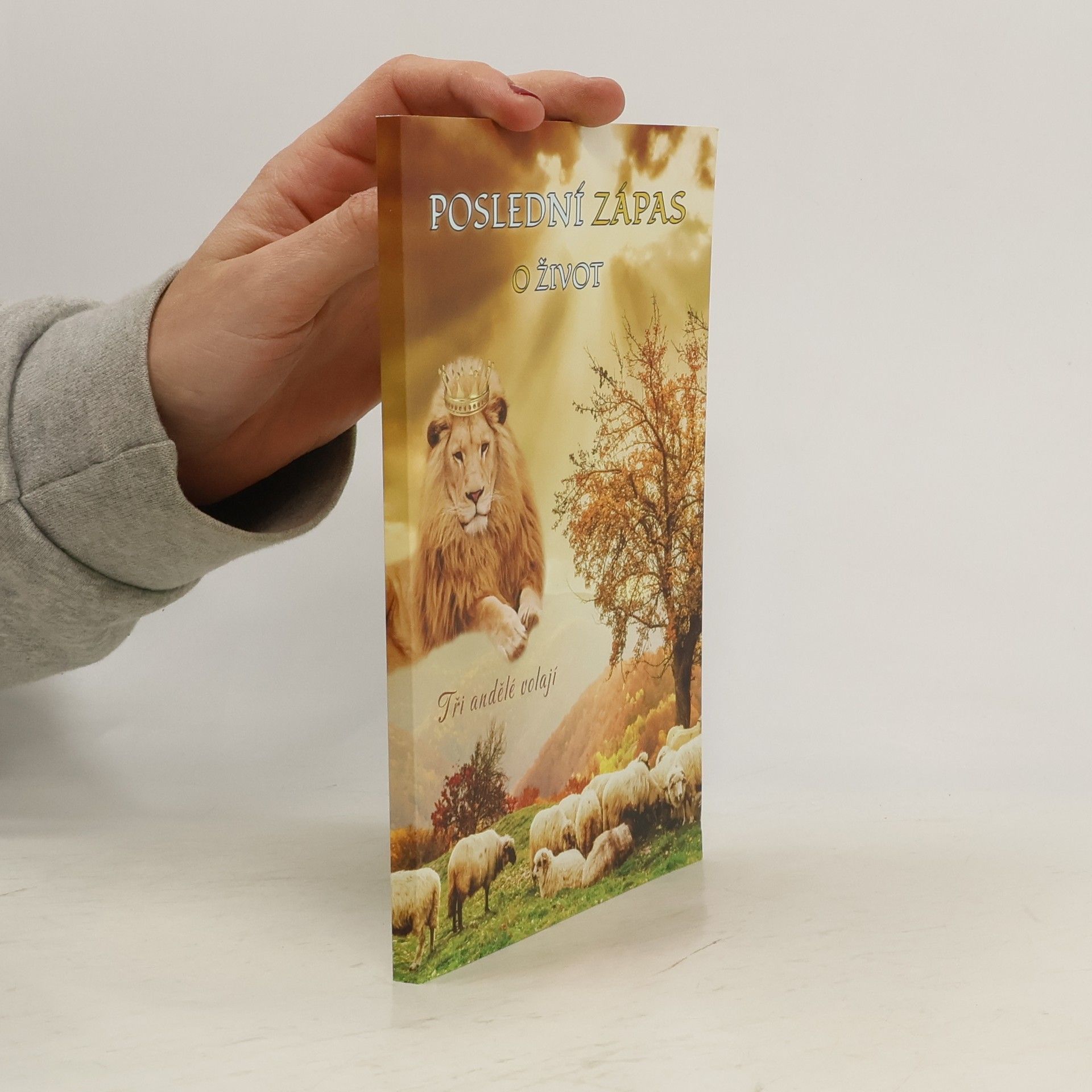 Poslední zápas o život Tři andělé volají