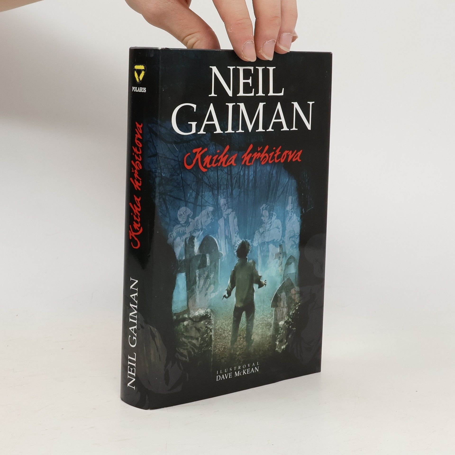 Neil Gaiman Kniha hřbitova