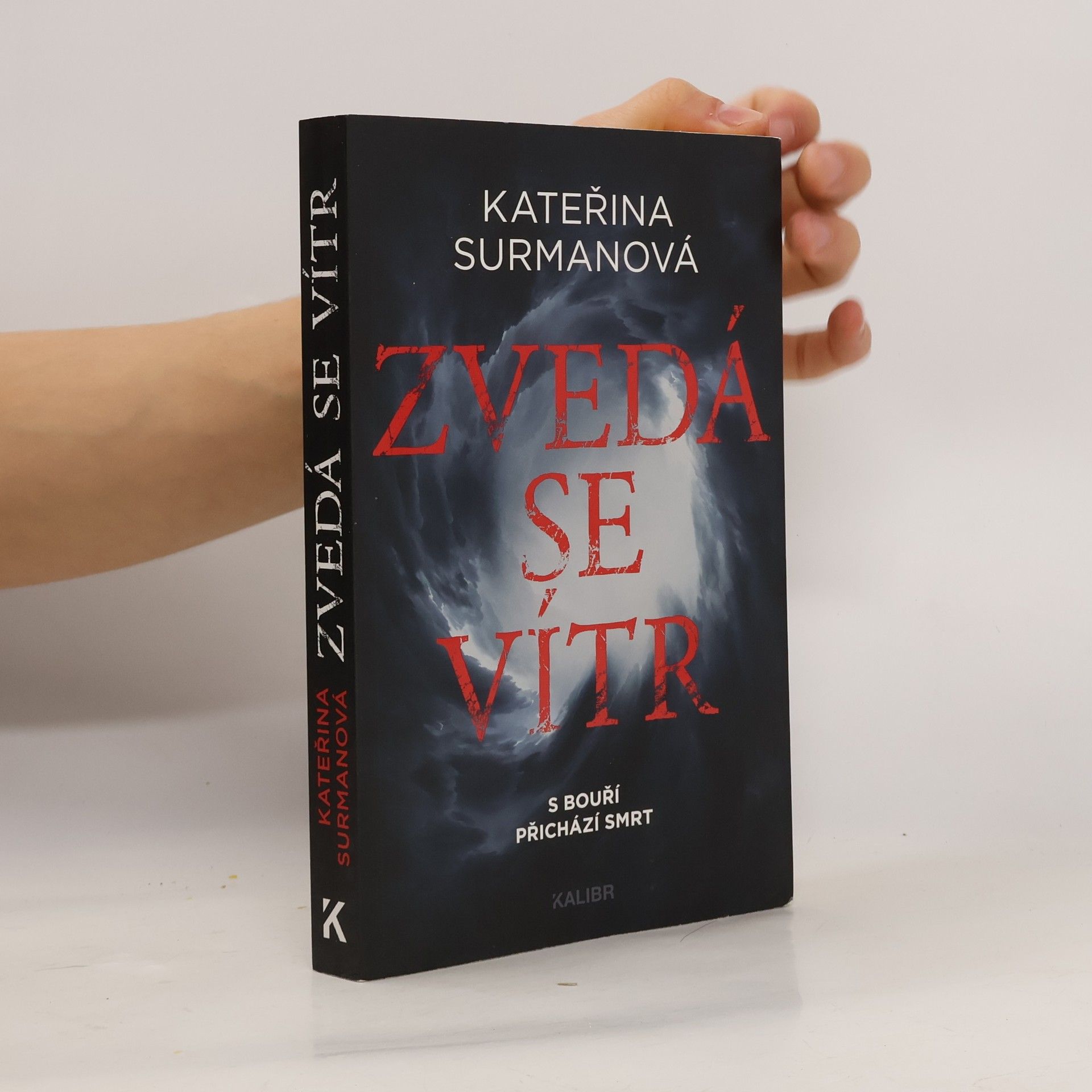 Kateřina Surmanová Zvedá se vítr