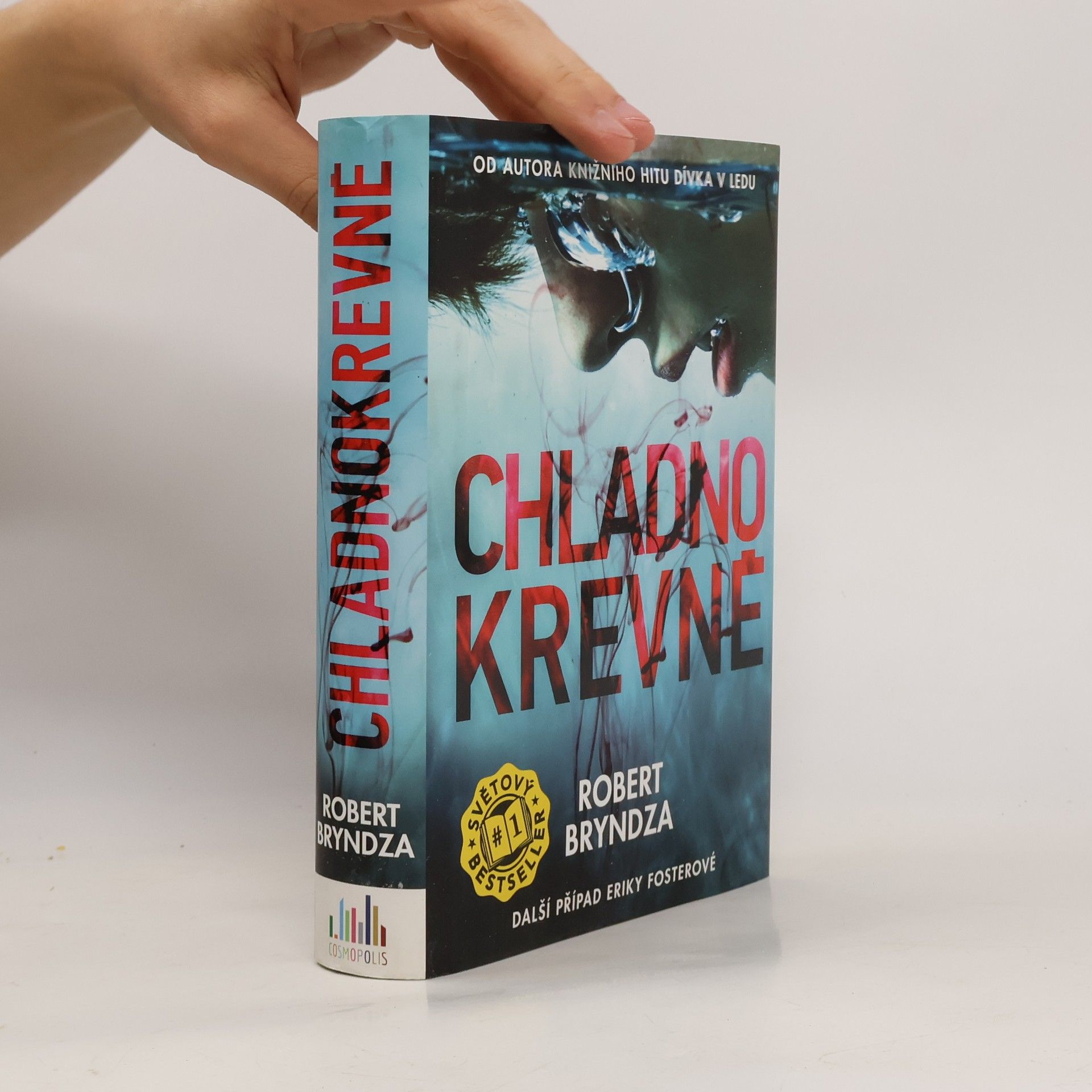 Robert Bryndza Chladnokrevně