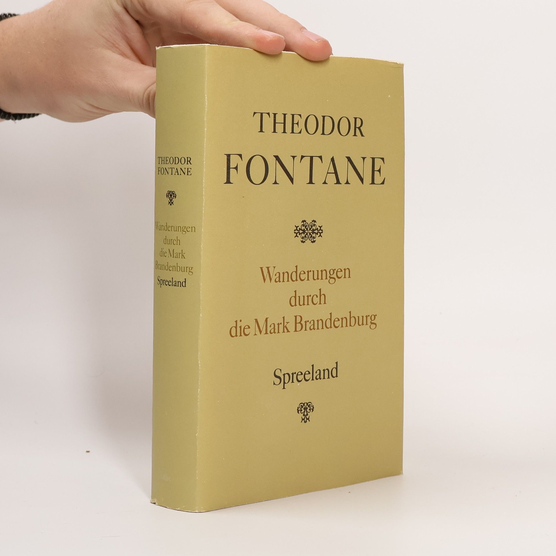 Theodor Fontane Wanderungen durch die Mark Brandenburg 4. Spreeland