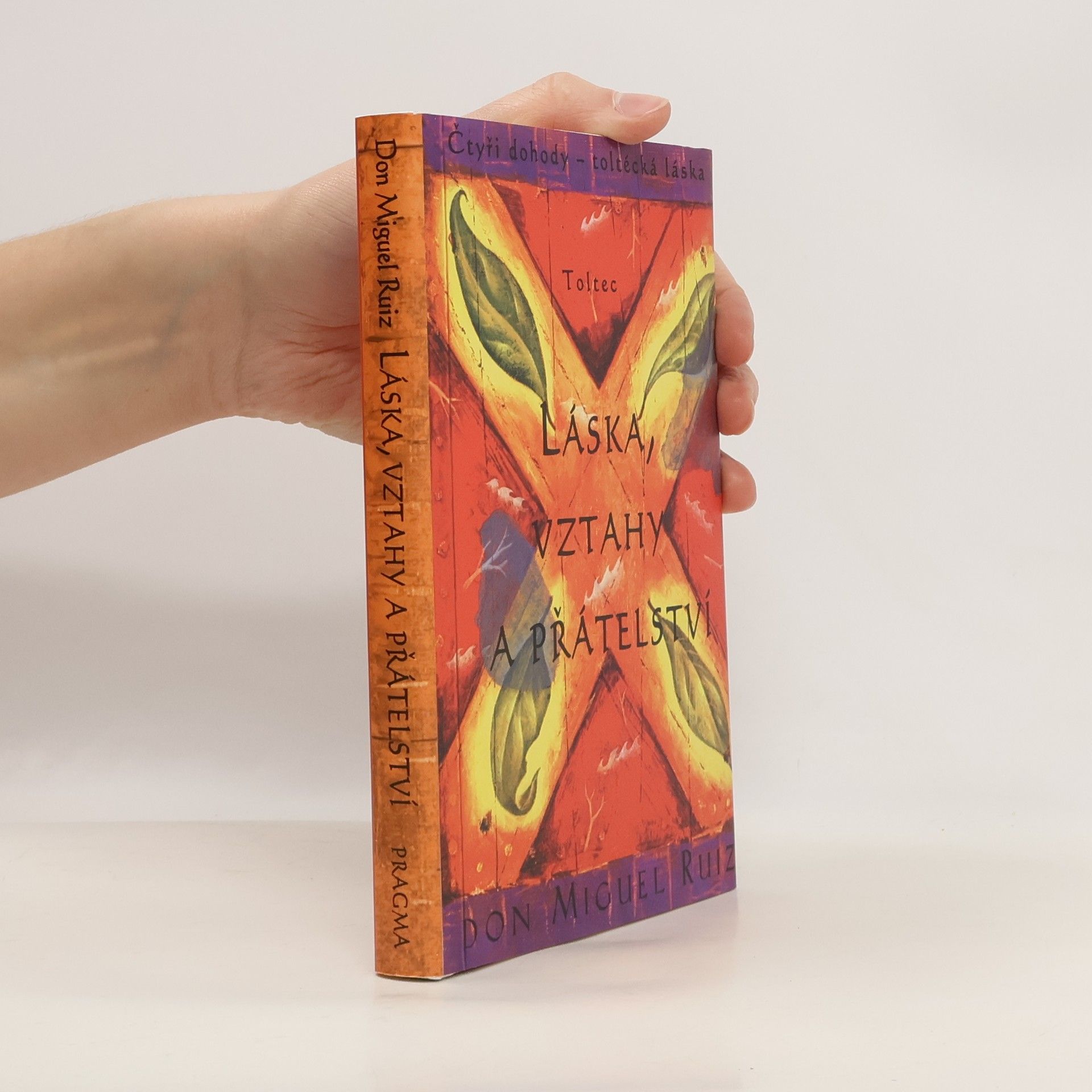 Don Miguel Ruiz Láska, vztahy a přátelství