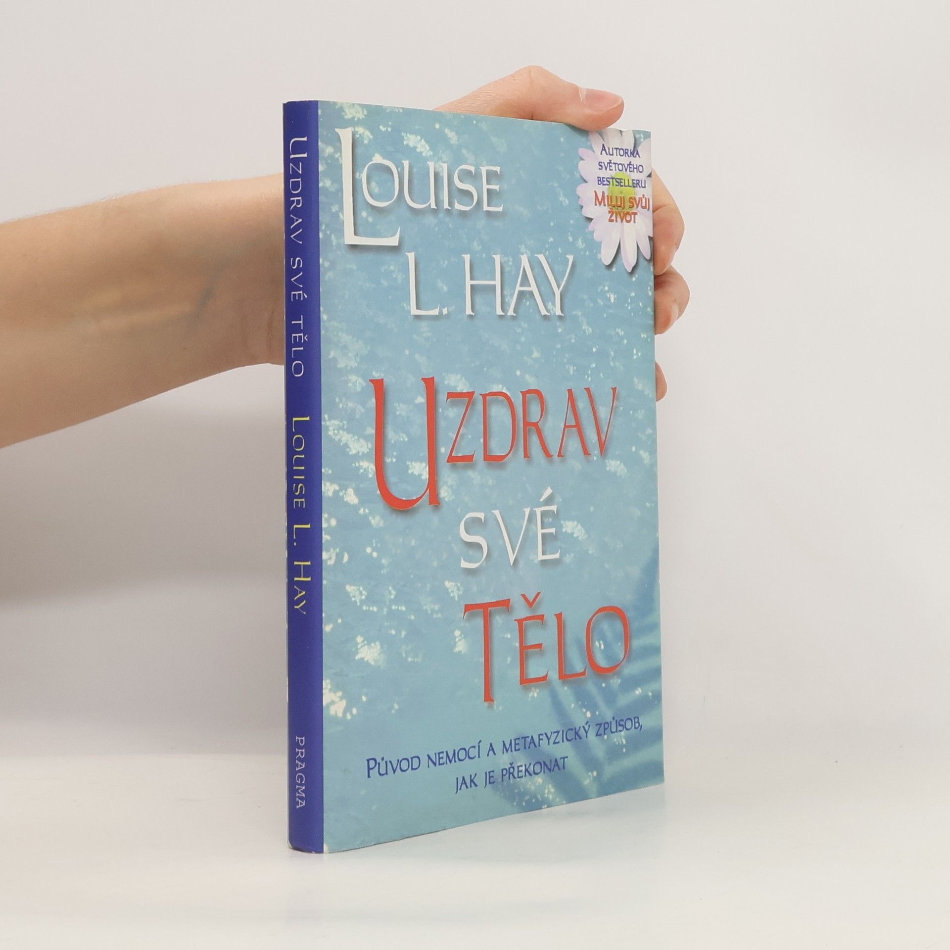 Louise Lynn Hay Uzdrav své tělo: Původ nemocí a metafyzický způsob, jak je překonat