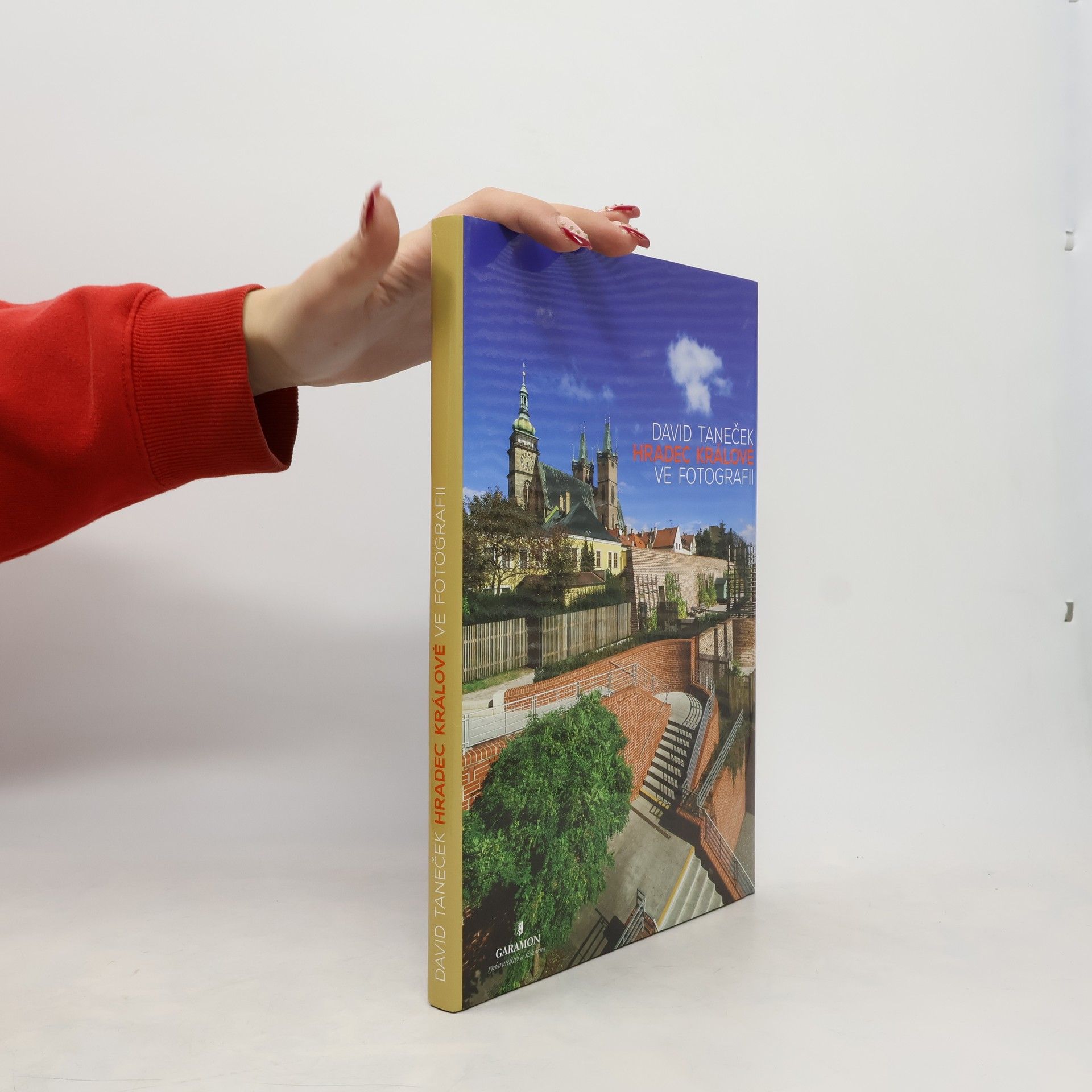 David Taneček Hradec Králové ve fotografii