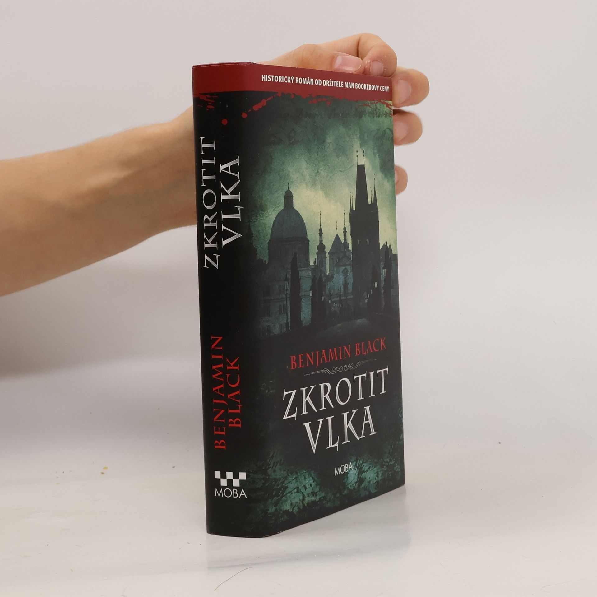 John Banville Zkrotit vlka