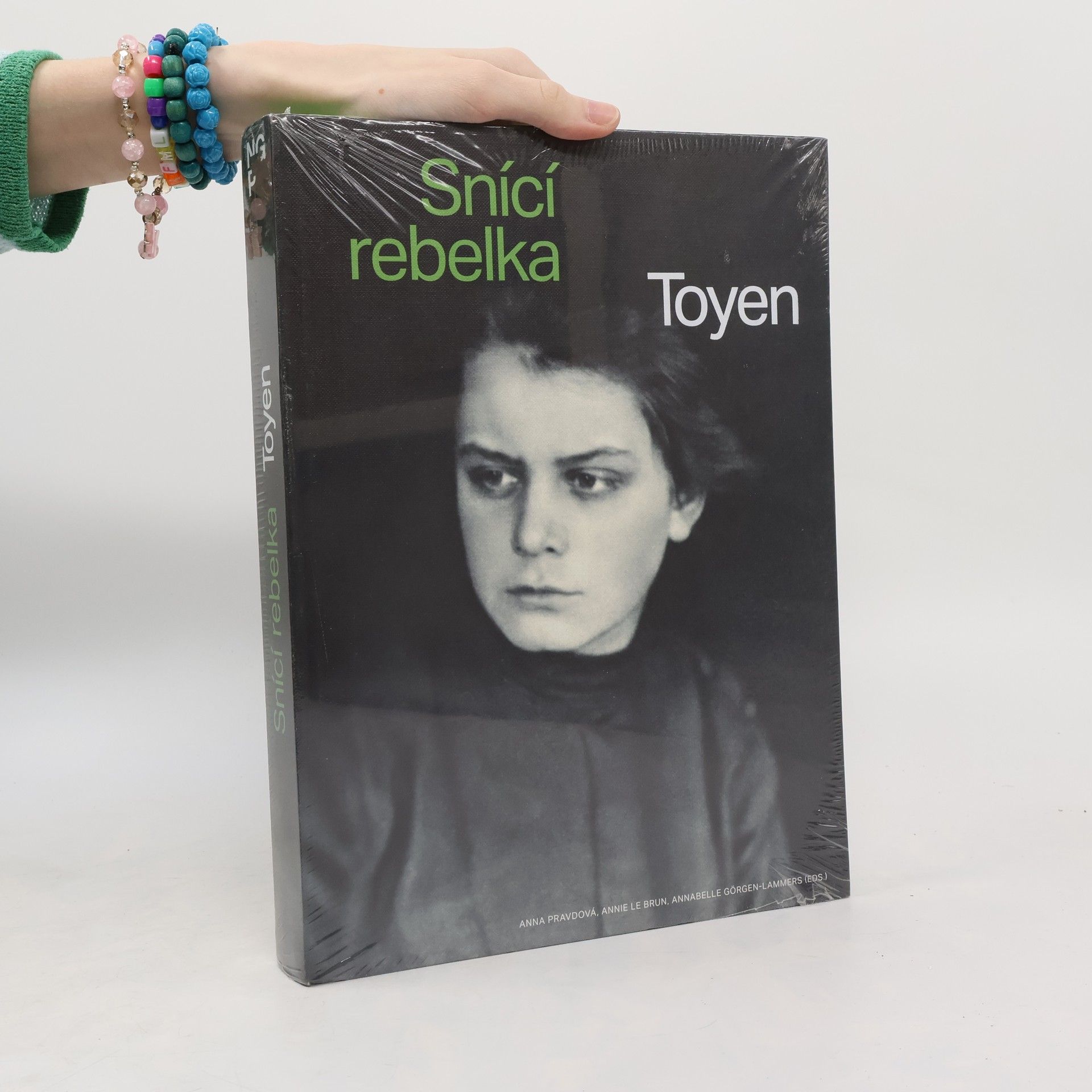 Anna Pravdová Toyen: Snící rebelka