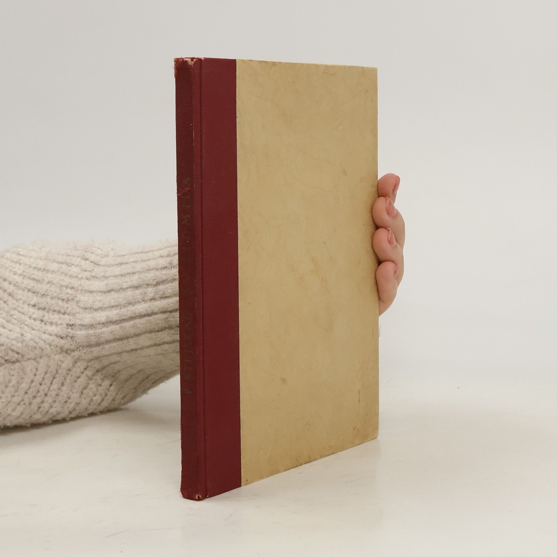 František Xaver Stejskal Sv. Lidmila, její doba a úcta