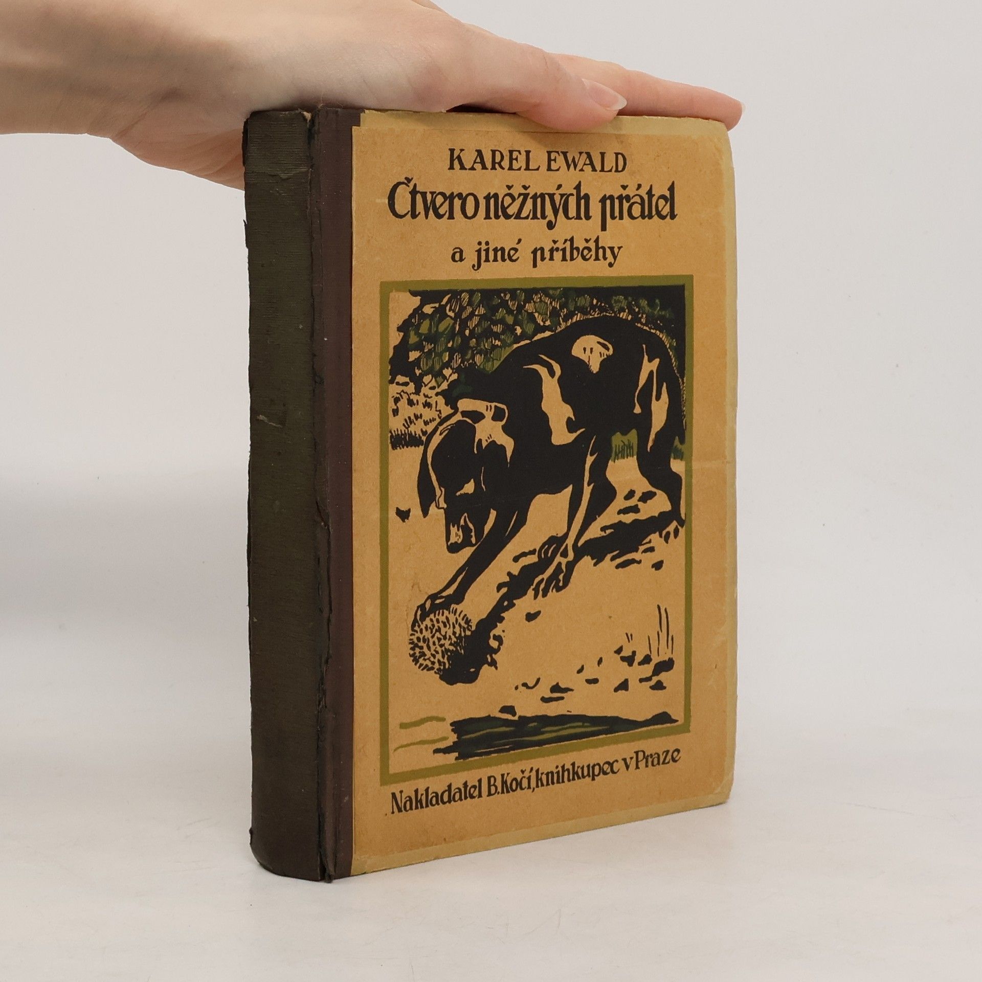 Čtvero něžných přátel a jiné příběhy