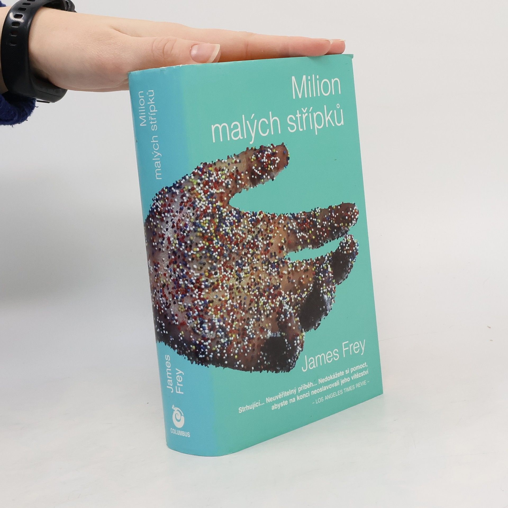 James Frey Milion malých střípků