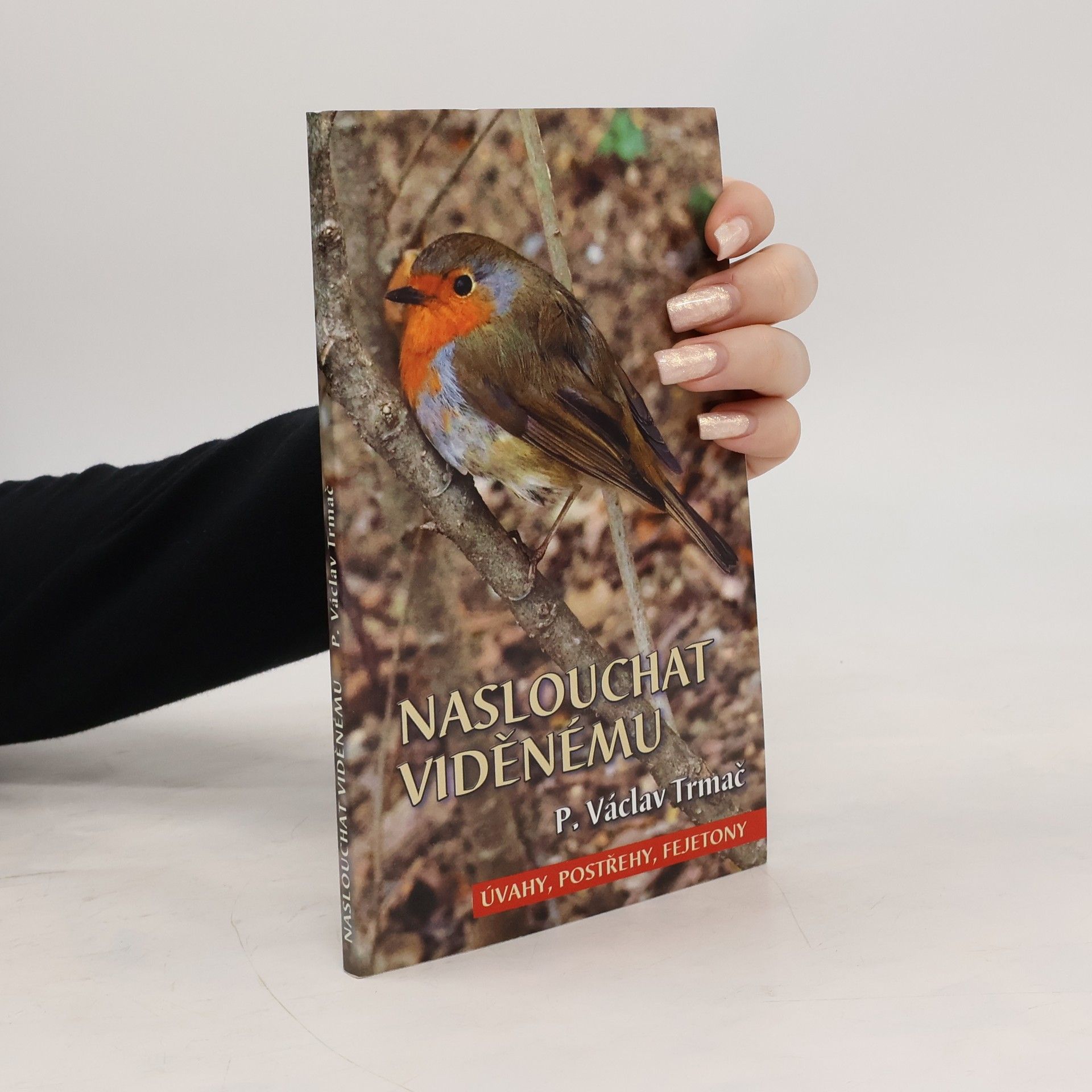 Naslouchat viděnému