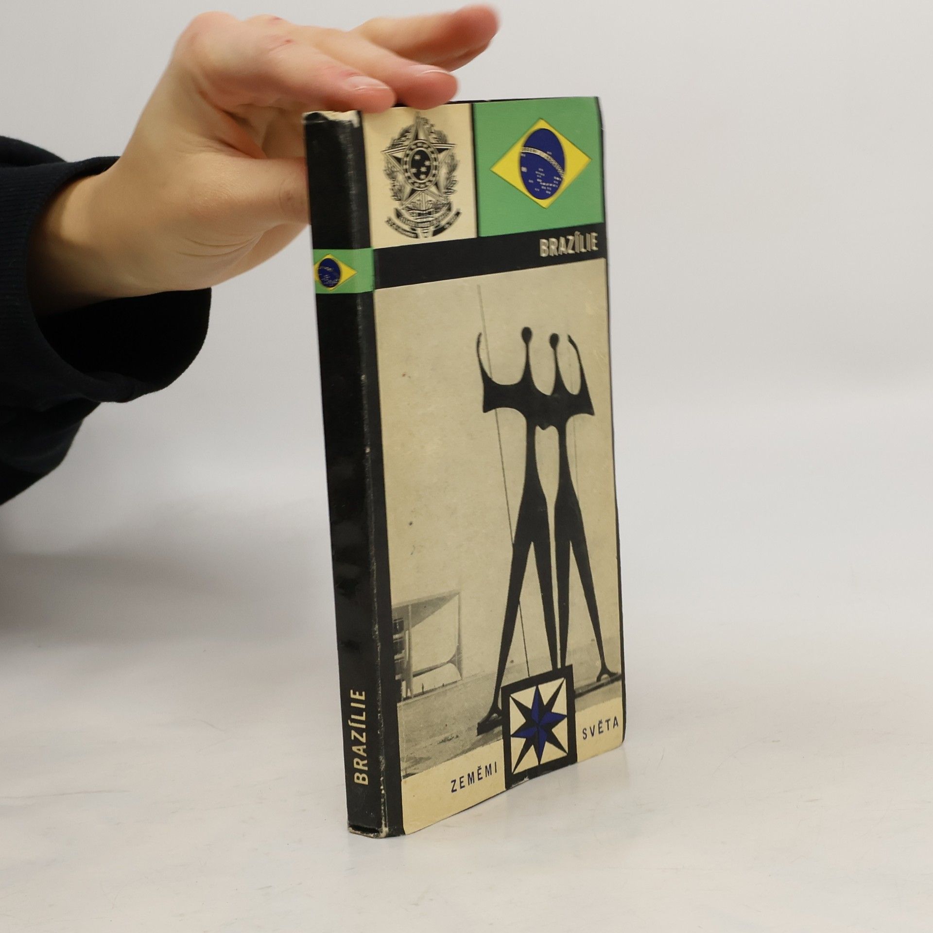 Miroslav Štráfelda Brazílie