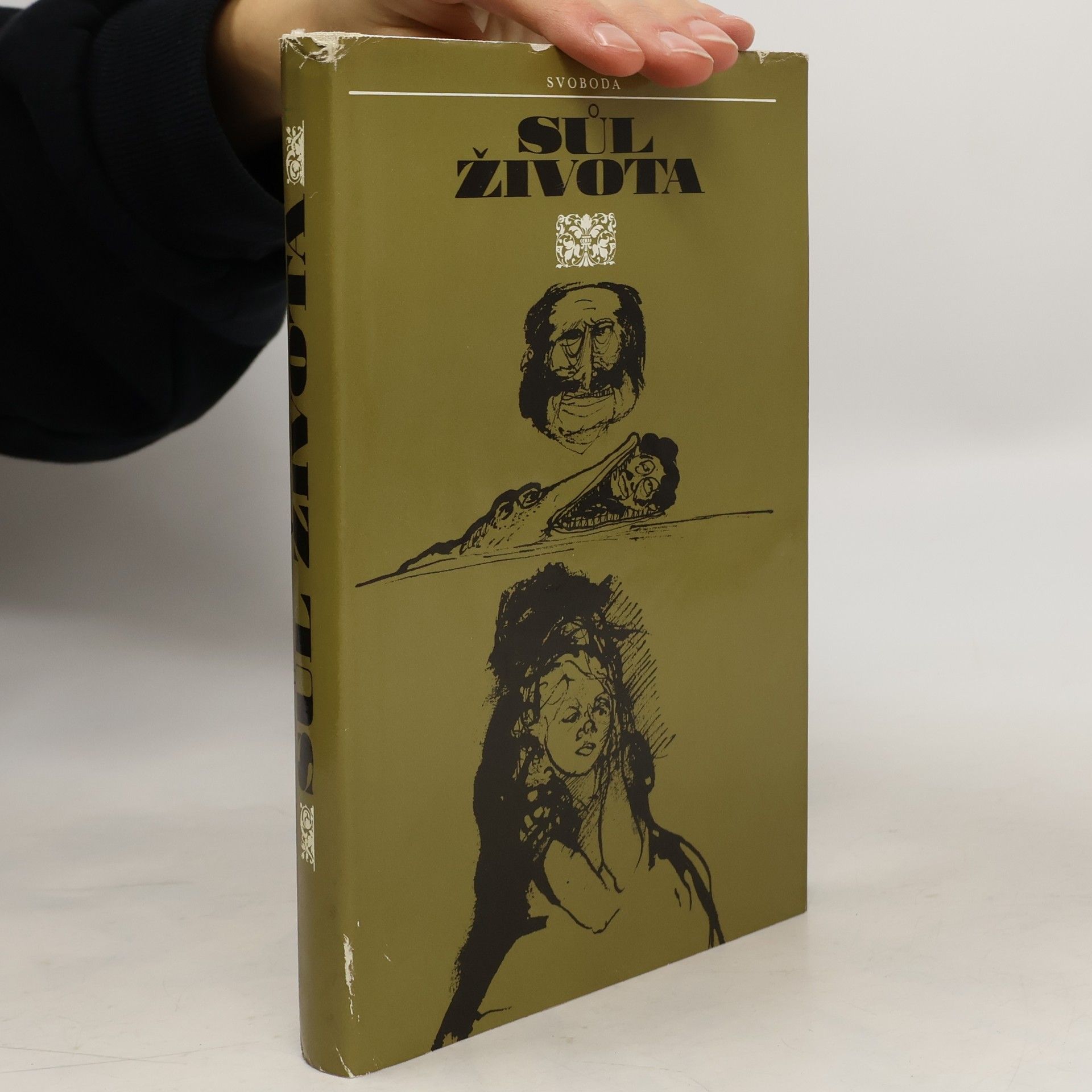 Autorenkollektiv Sůl života