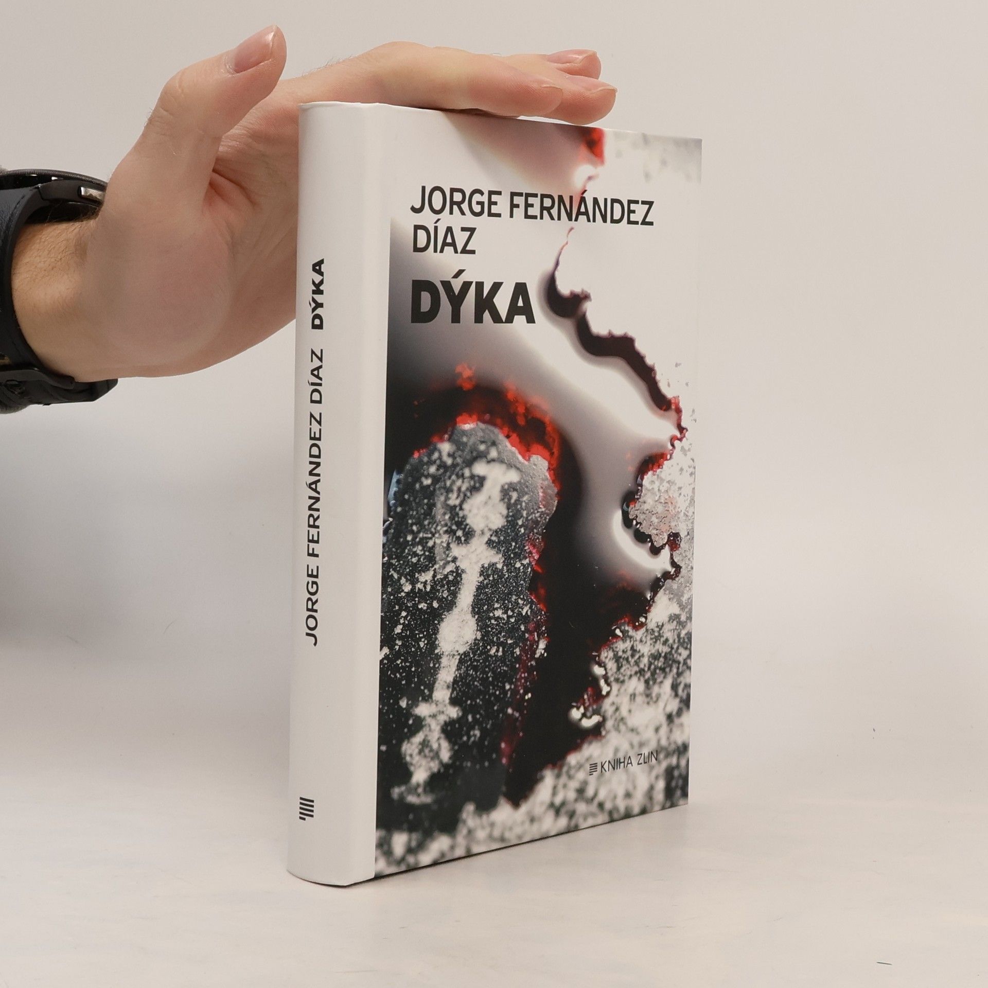 Jorge Fernández Díaz Dýka