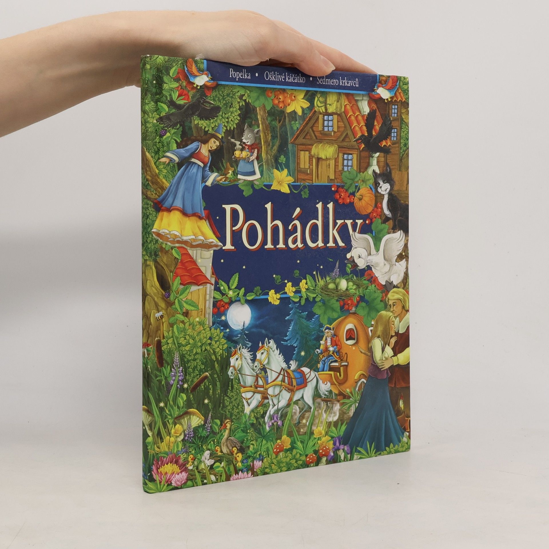 Agnieszka Sakra Pohádky. Popelka. Ošklivé káčátko. Sedmero krkavců