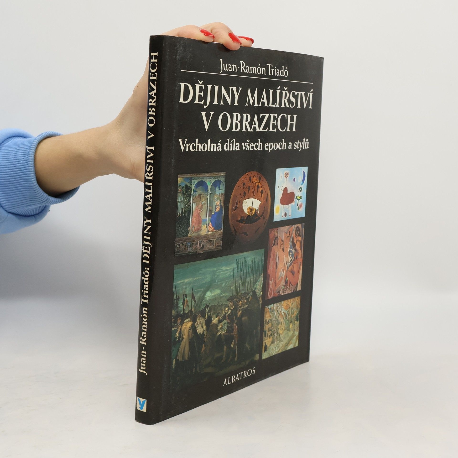 Dějiny malířství v obrazech : vrcholná díla všech epoch a stylů