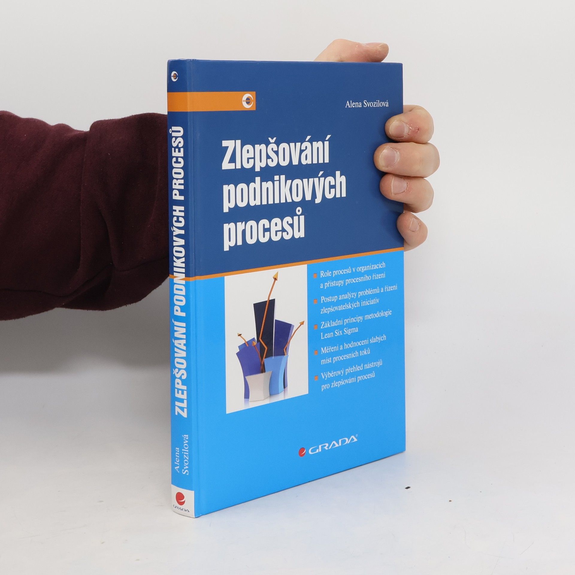 Zlepšování podnikových procesů