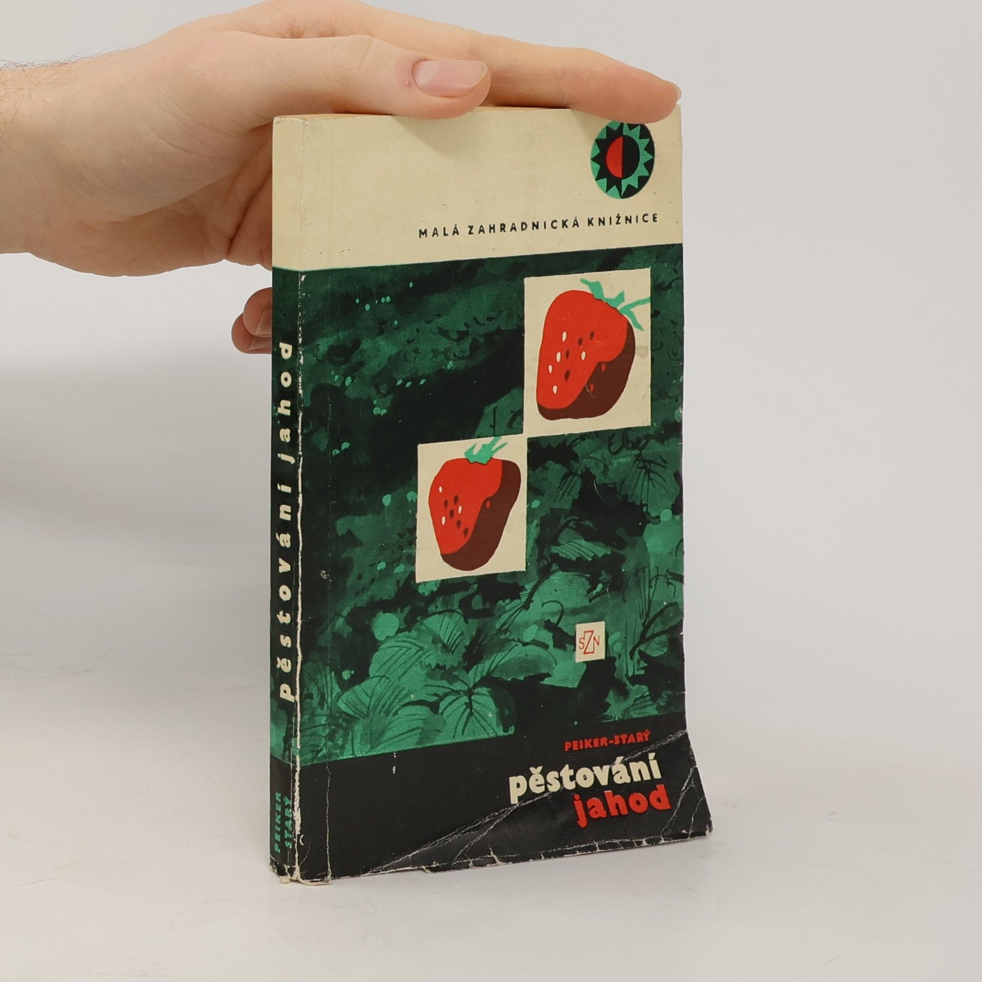 Peiker Starý Pěstování jahod