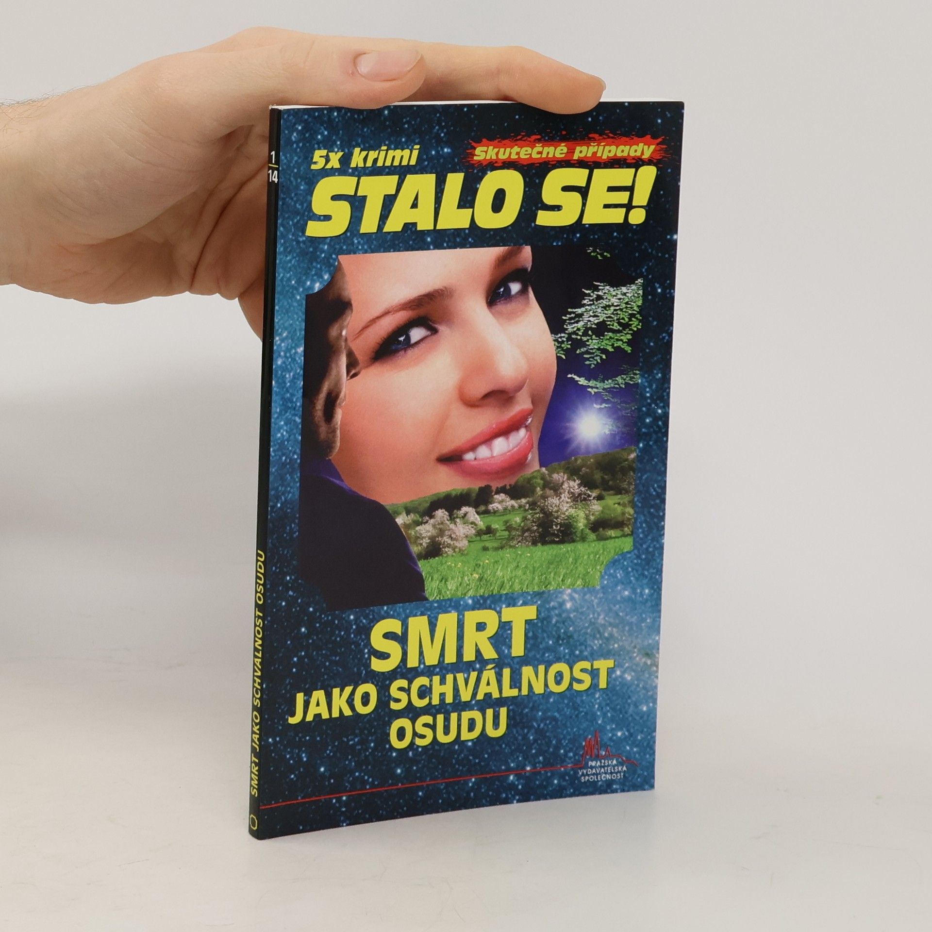 Autorenkollektiv Smrt jako schválnost osudu