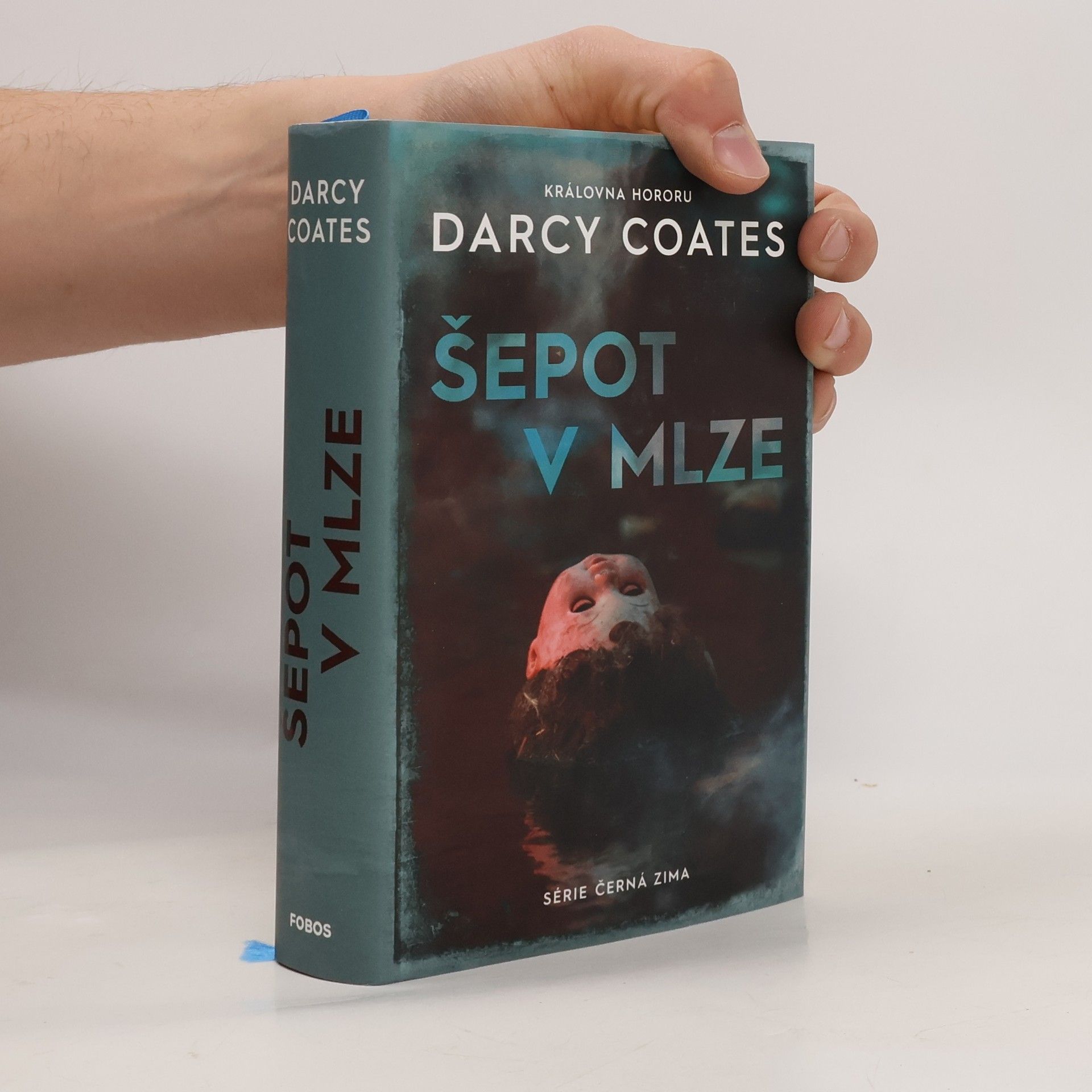 Darcy Coates Šepot v mlze